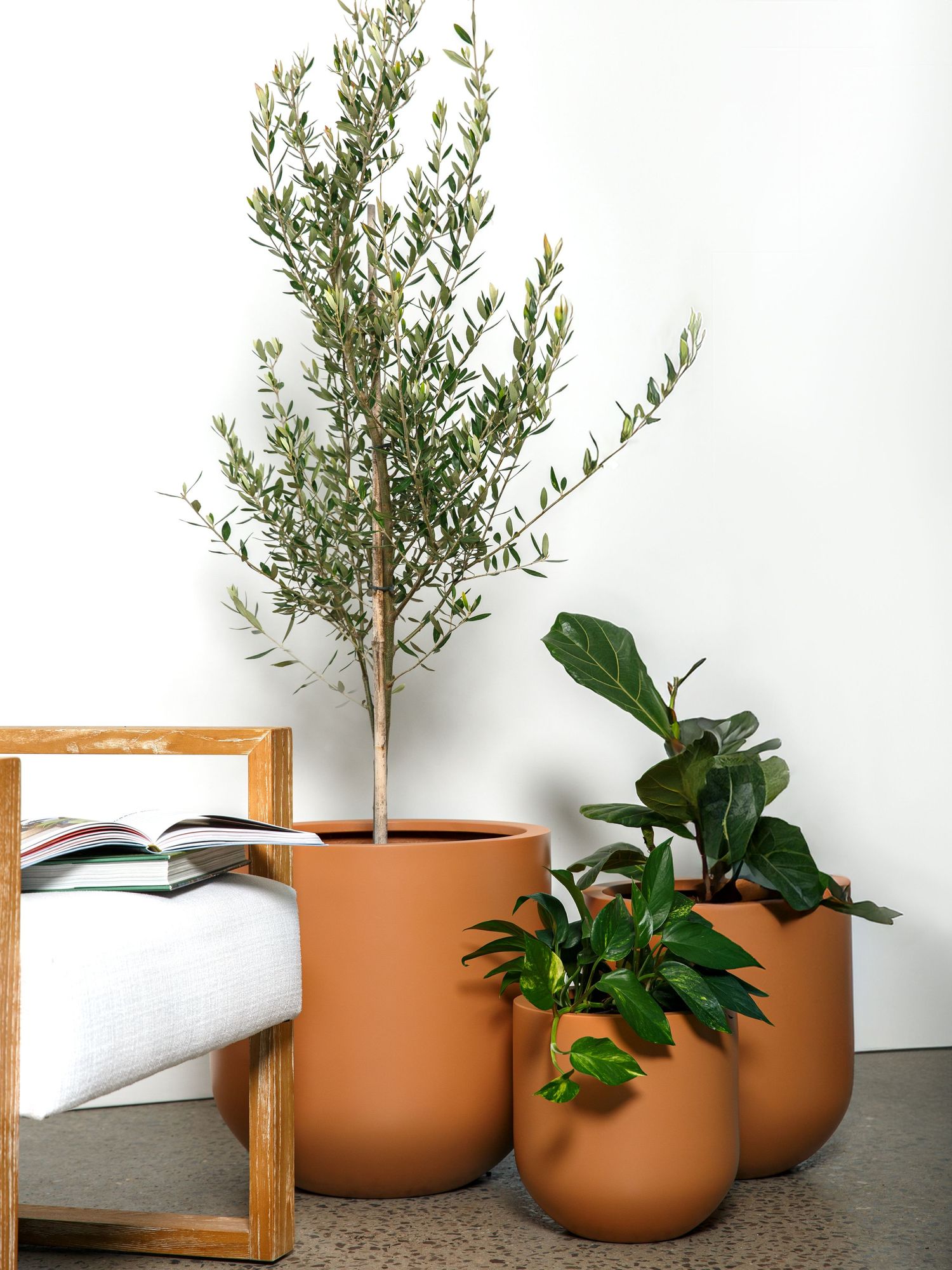 Lifestyle branding photography with indoor plants and modern plant pots