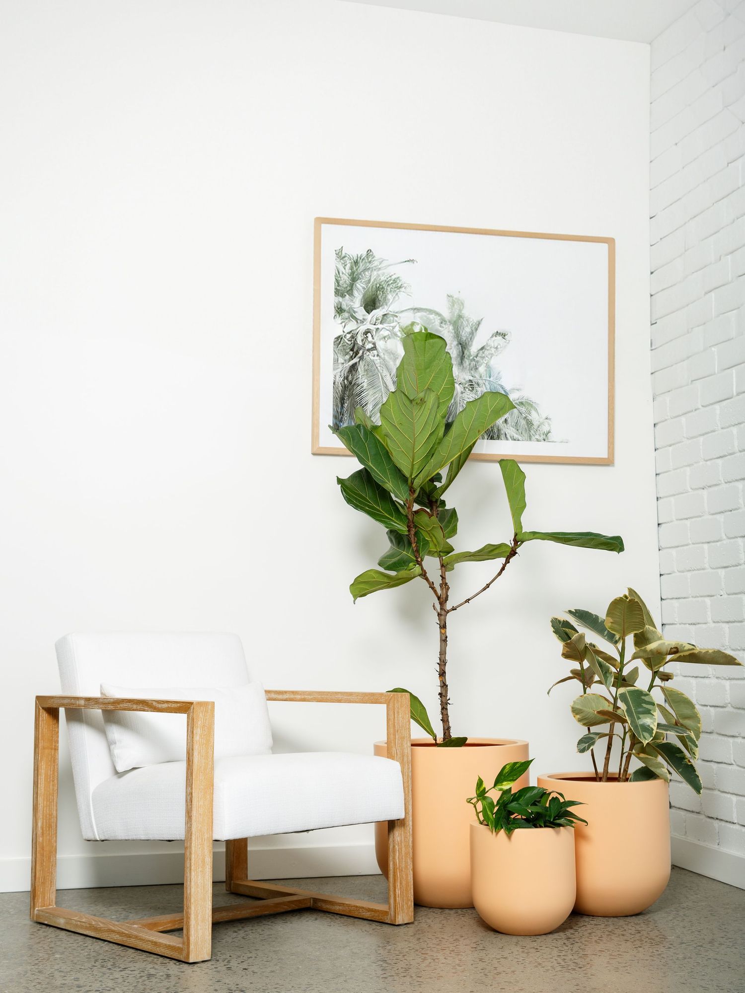 Branding photography showcasing indoor plants in minimalist pots