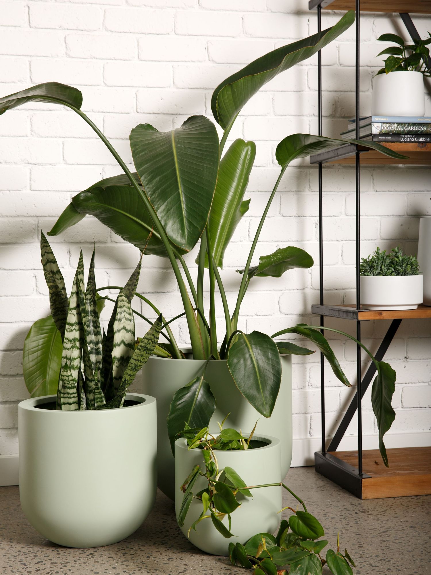 Lifestyle product photography featuring indoor plants and decorative pots