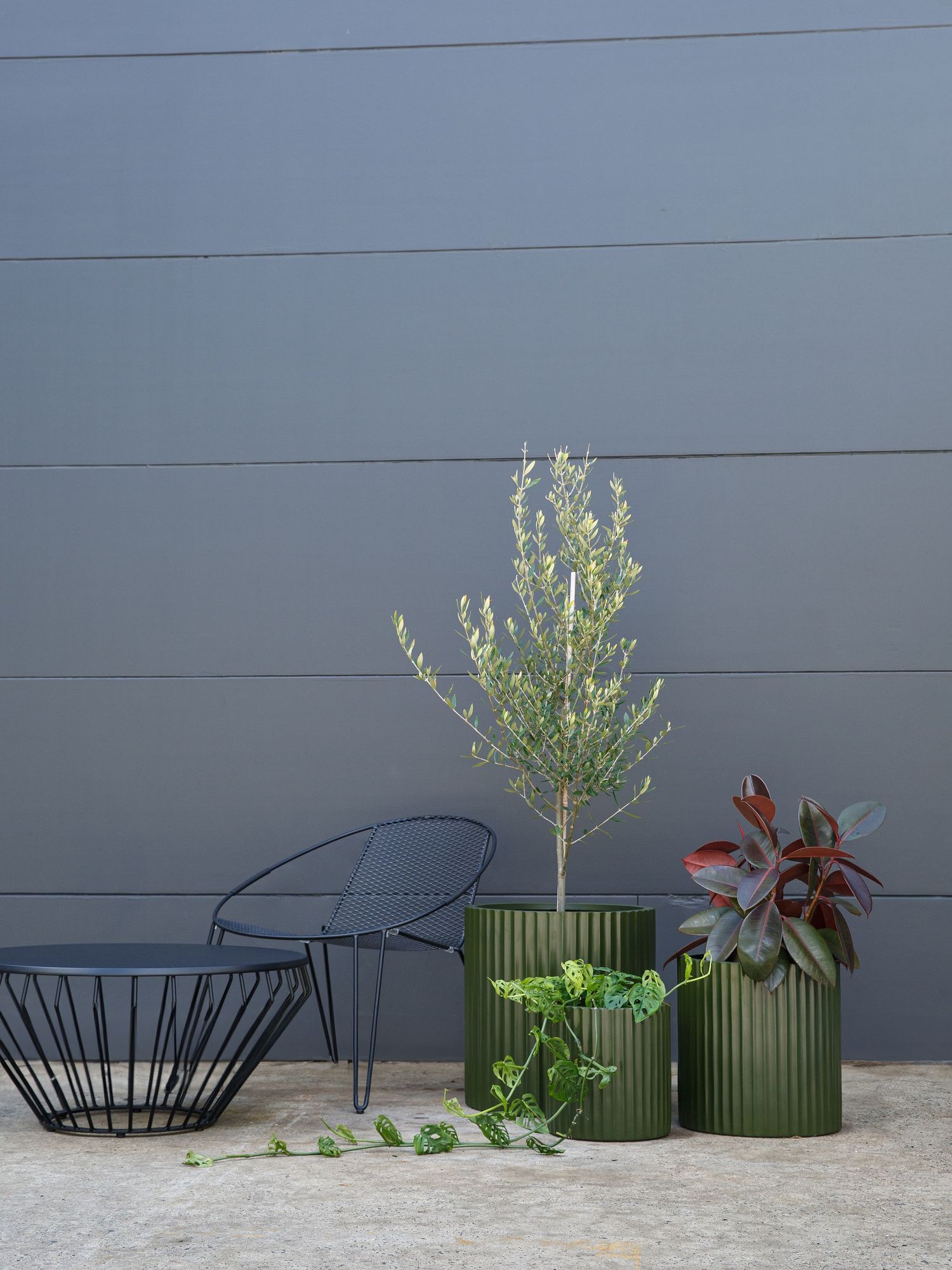 Interior styling photography with houseplants in contemporary pots
