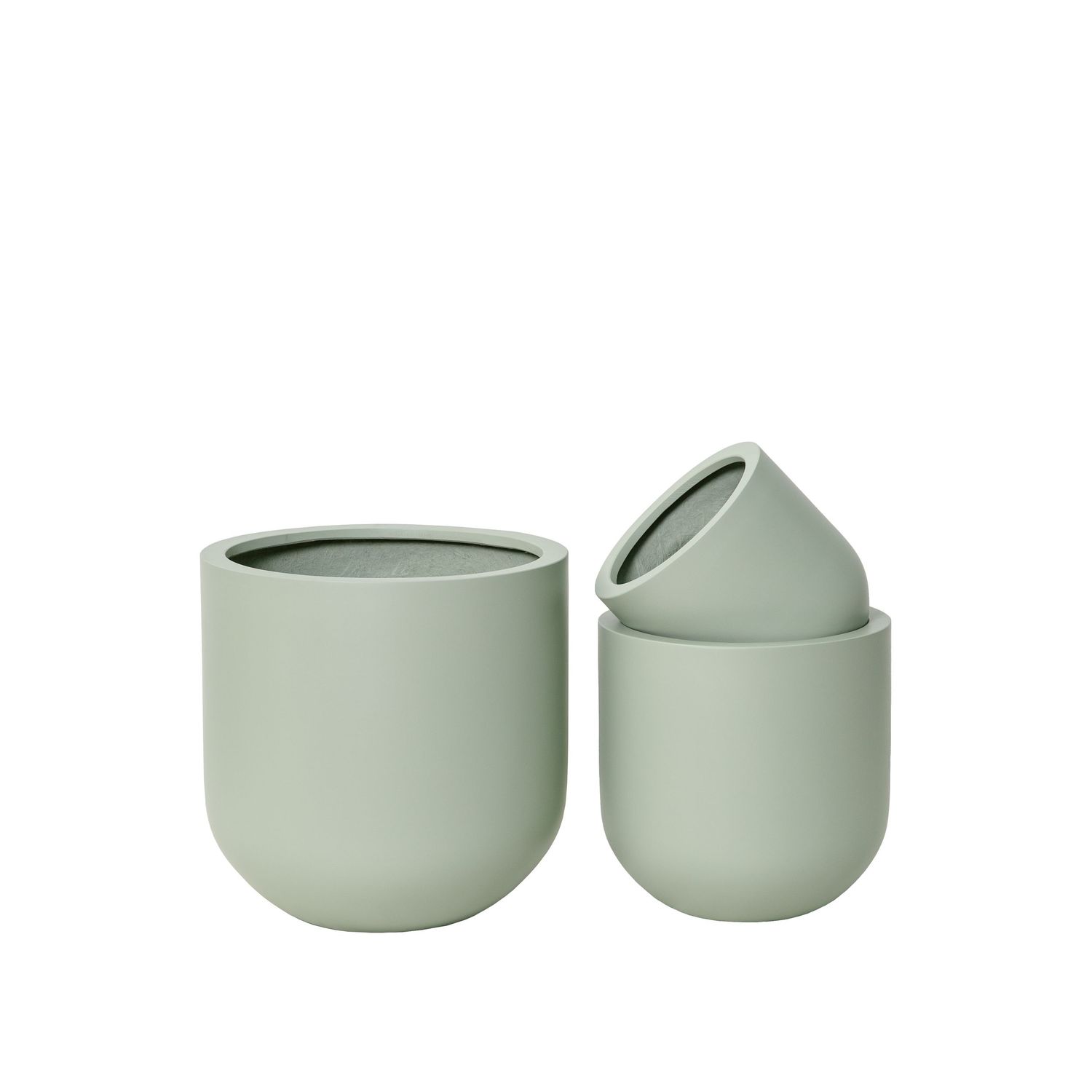 Commercial photography of houseplants styled in modern decorative pots