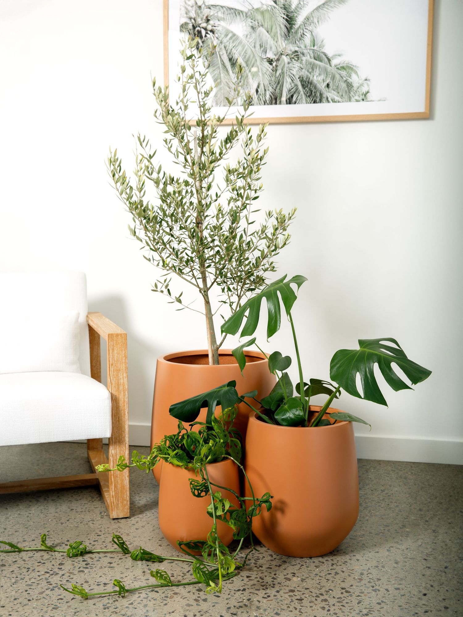 Commercial interior styling photography with potted plants in a modern space