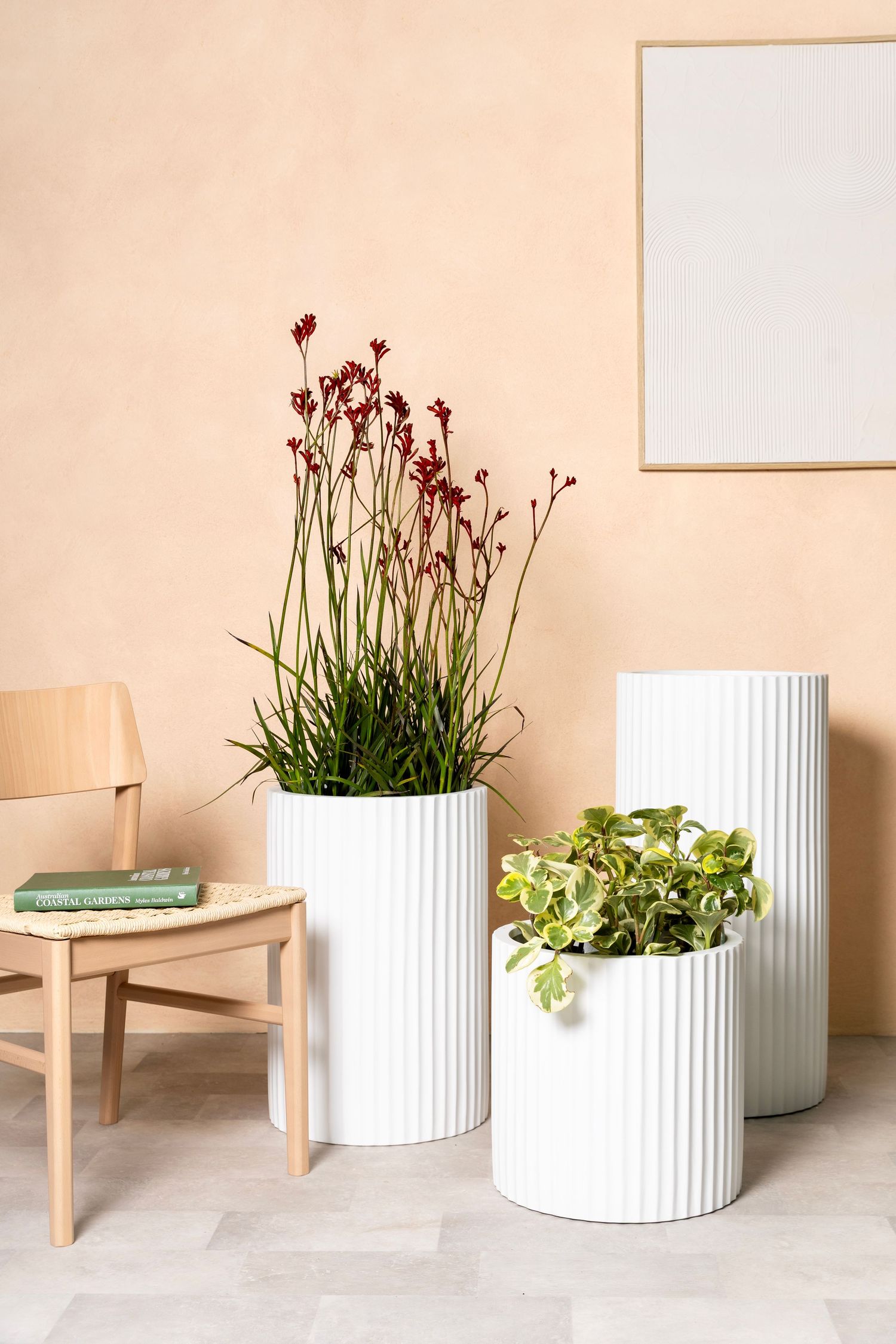 Commercial product photography highlighting design and shape