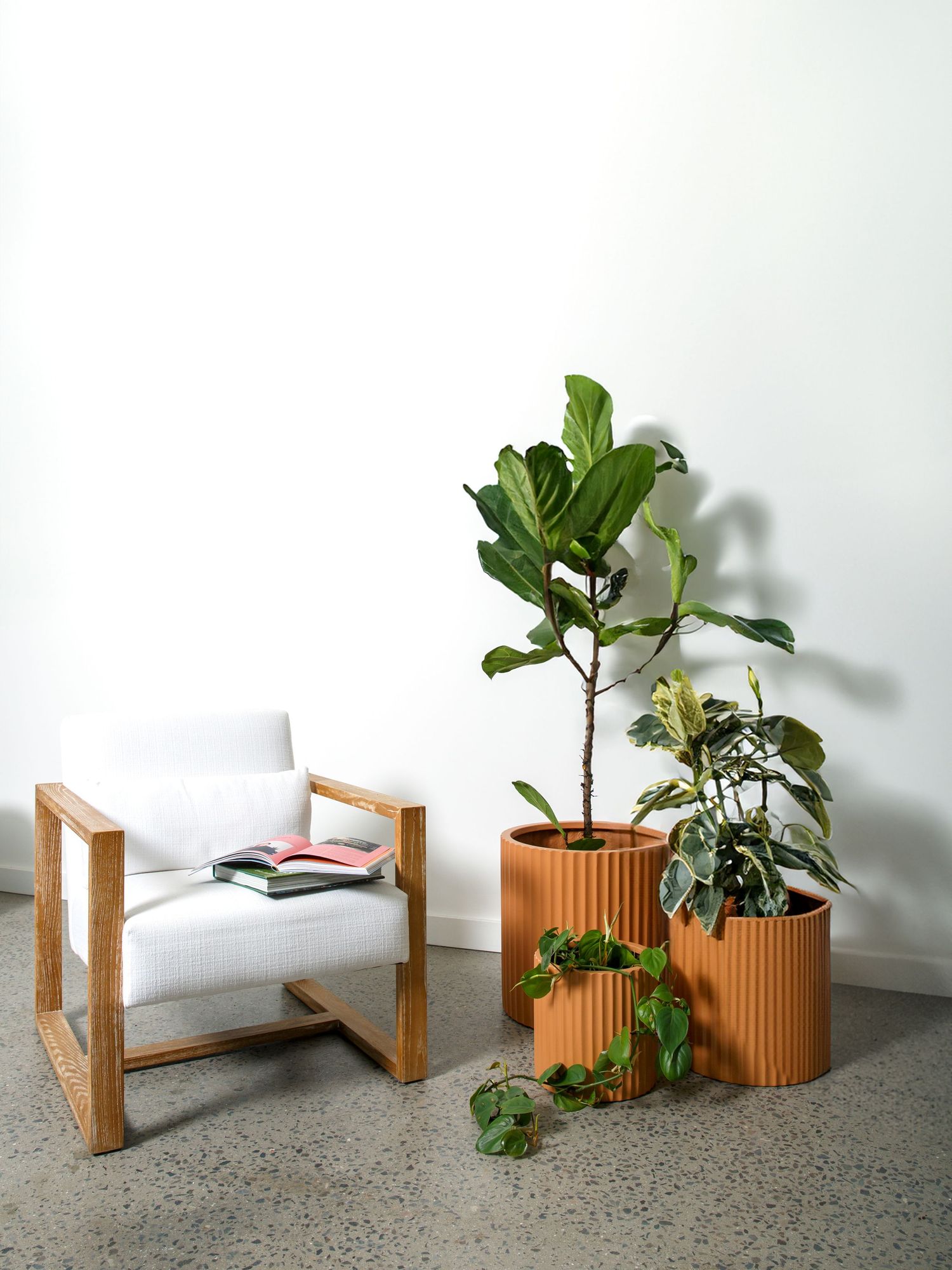Commercial product photography highlighting decorative indoor plants