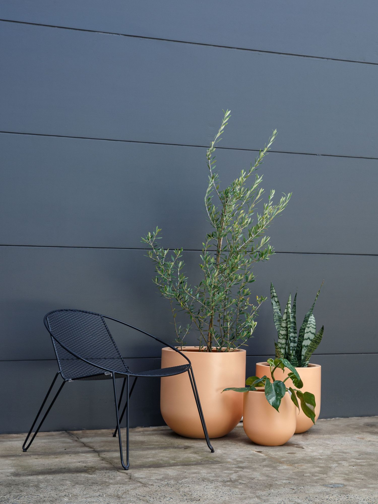 Lifestyle photography featuring indoor plants in modern ceramic pots