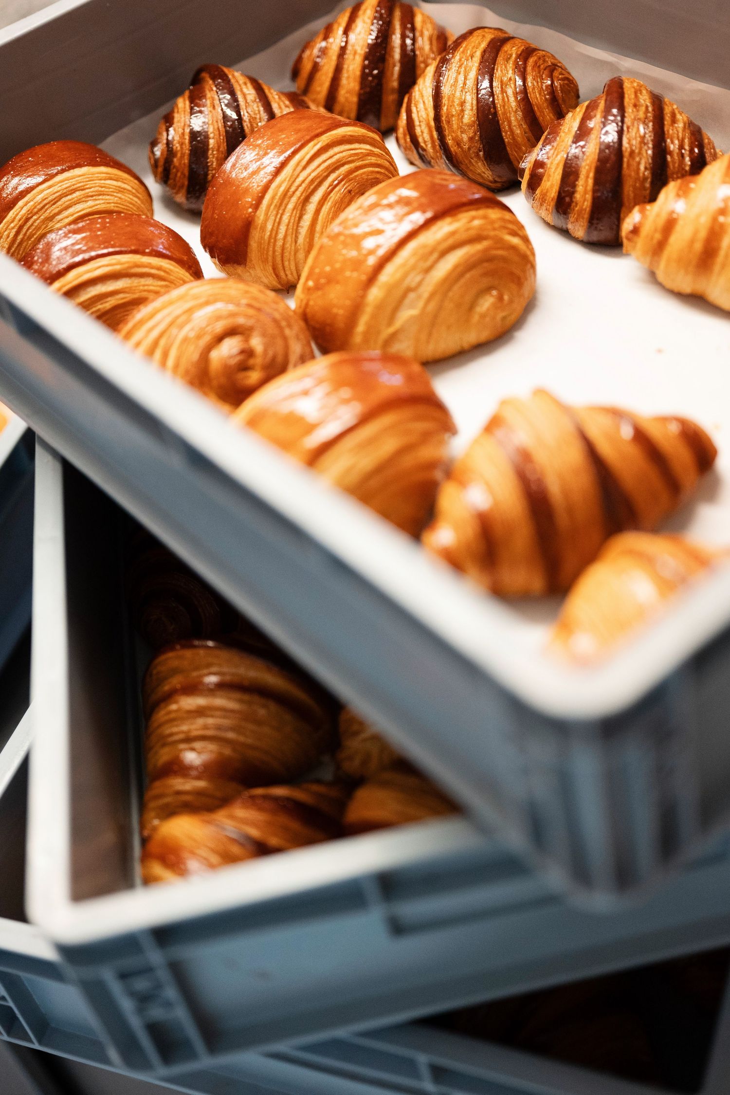 photographe culinaire, food, restauration pays basque