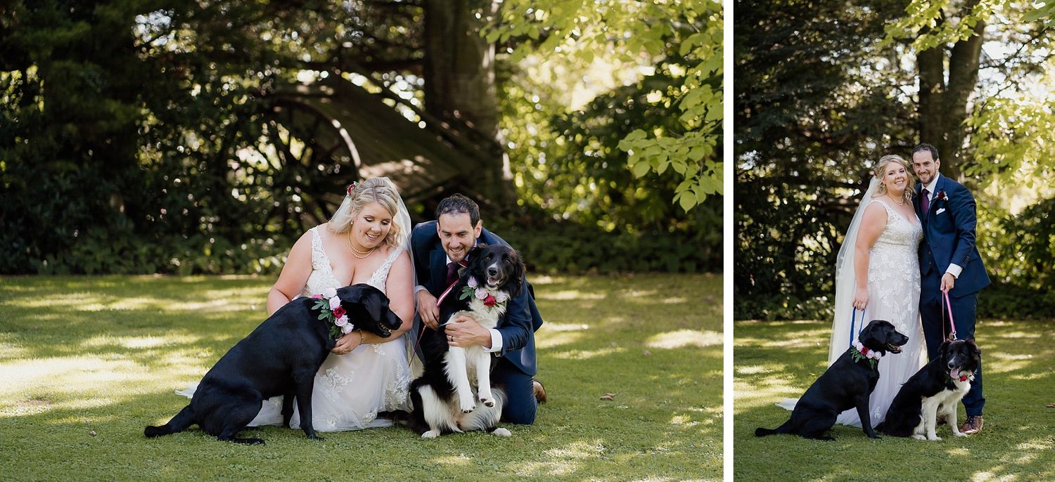 bride and groom with dogs