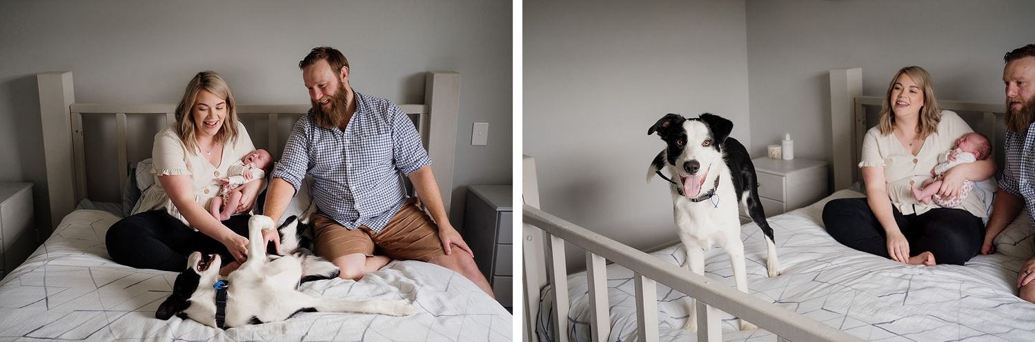family photography with pets