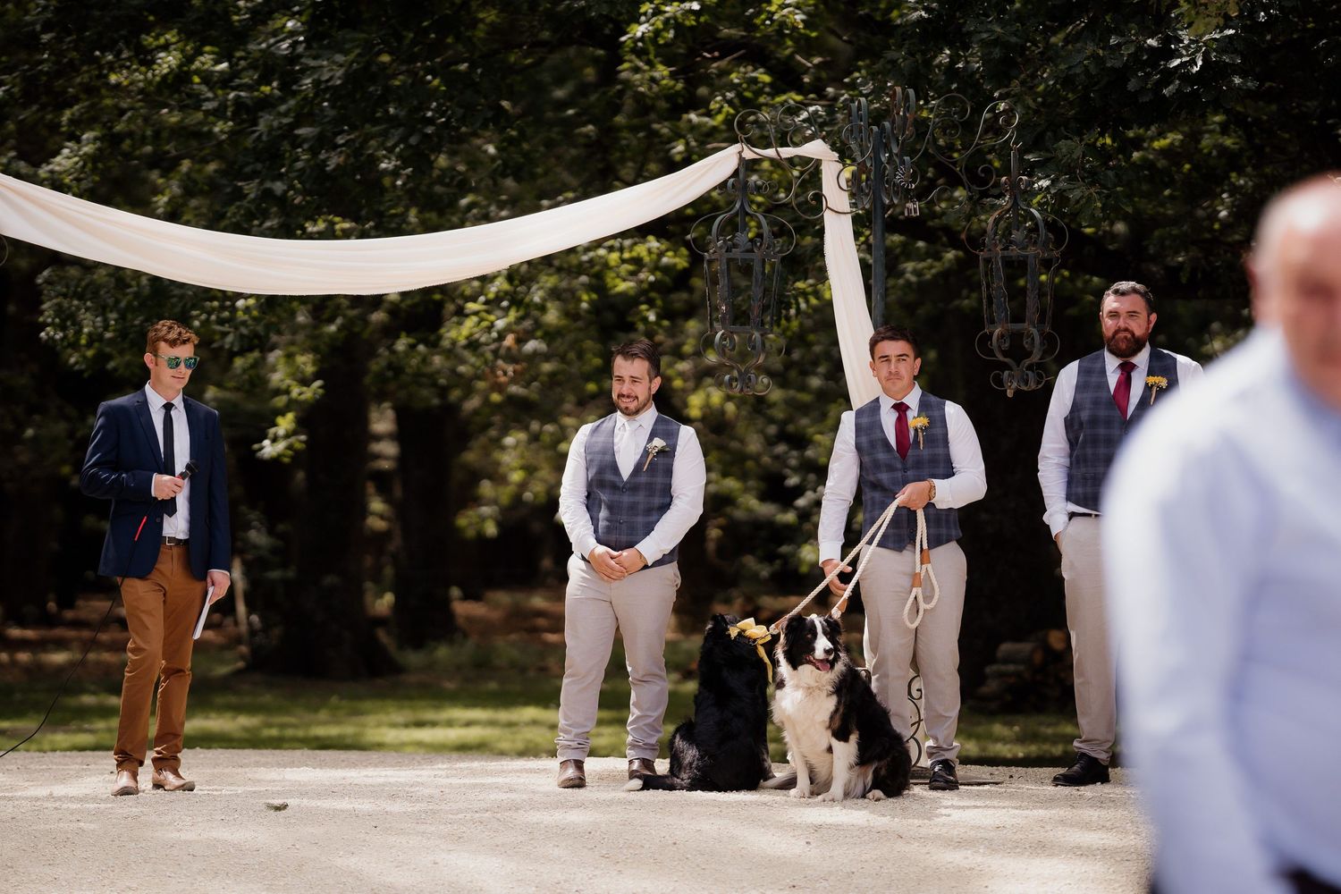 wedding ceremony with dogs