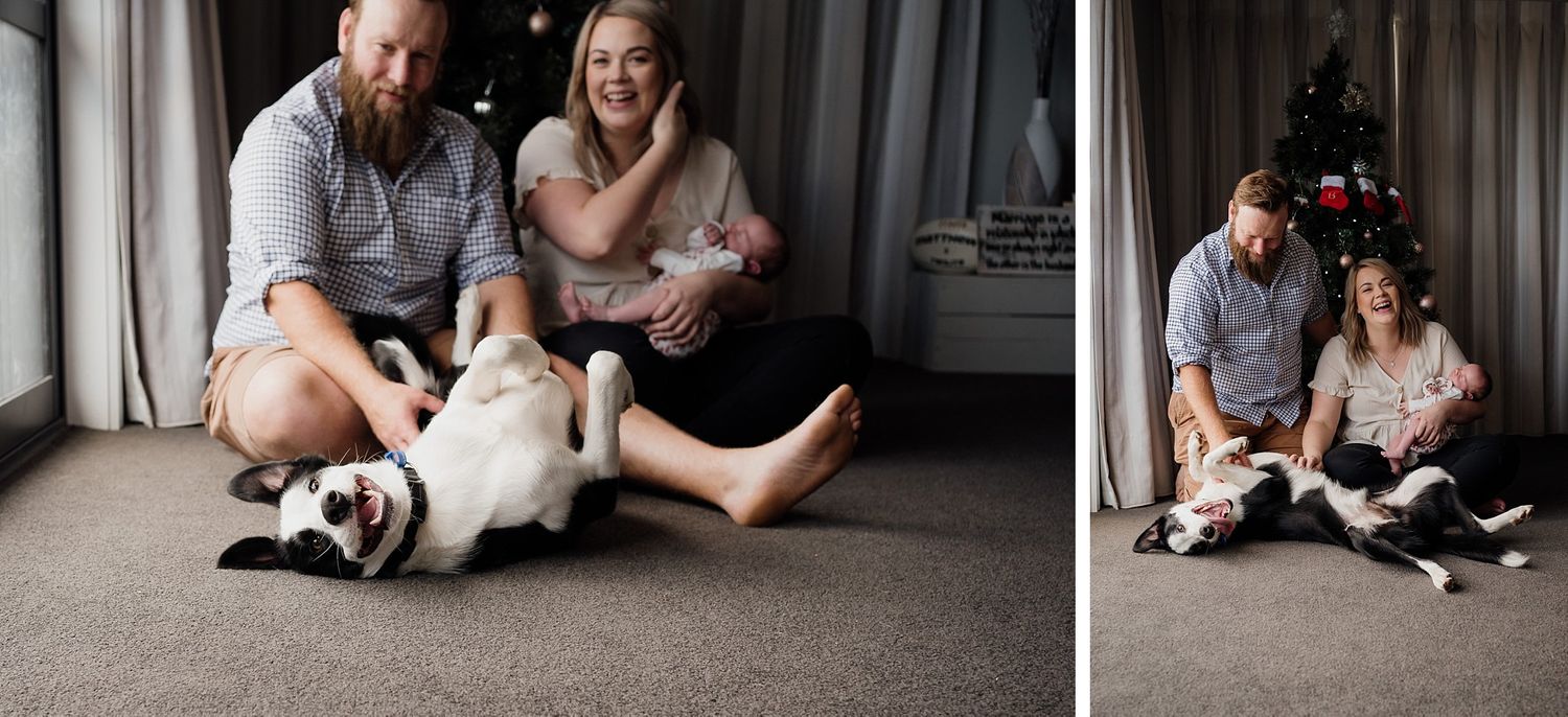 Family photography with dogs
