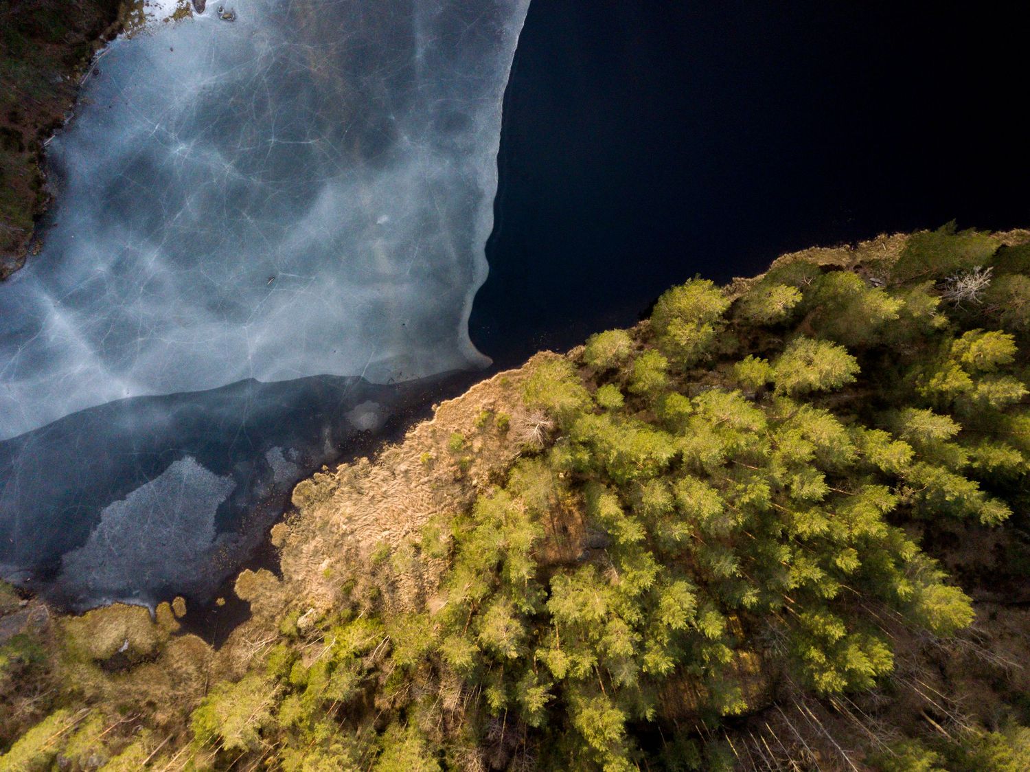 drone point of view of lake and ice and trees