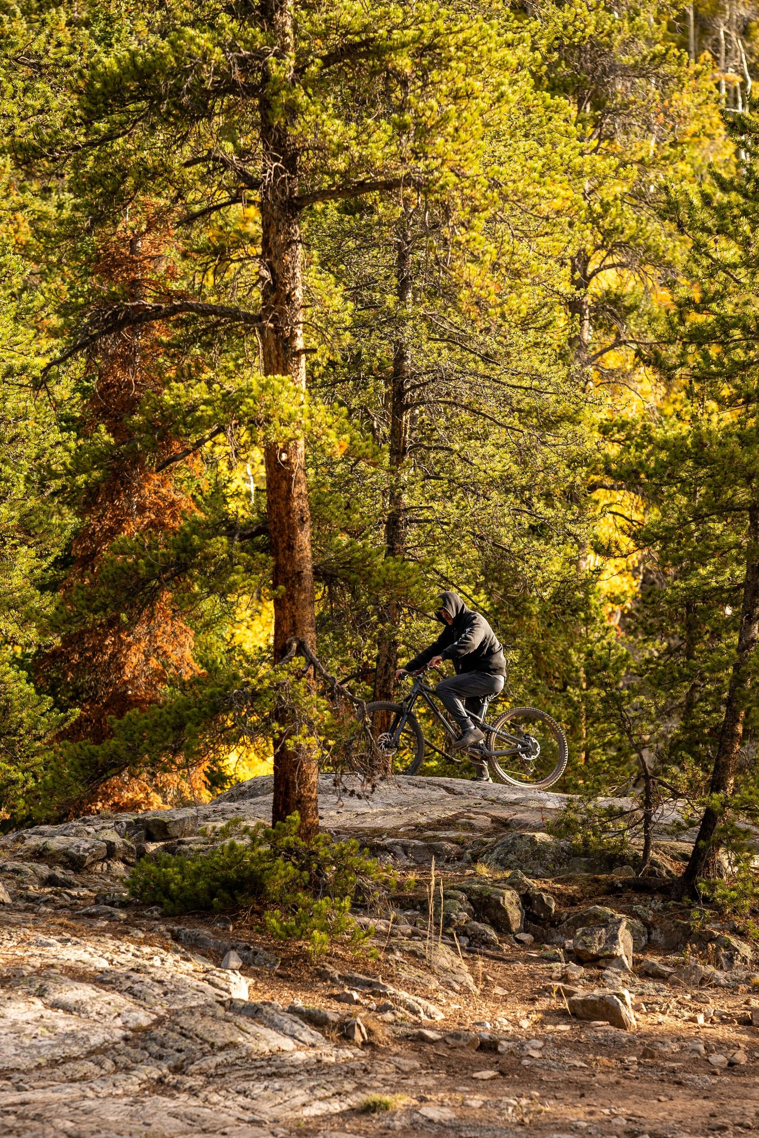 person biking during the fall