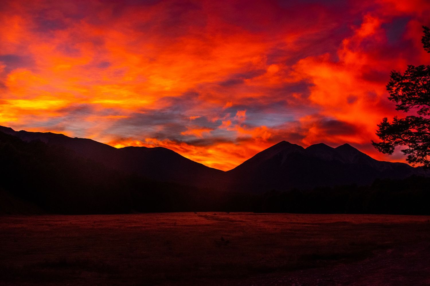 Very vibrant sunrise in new zealand