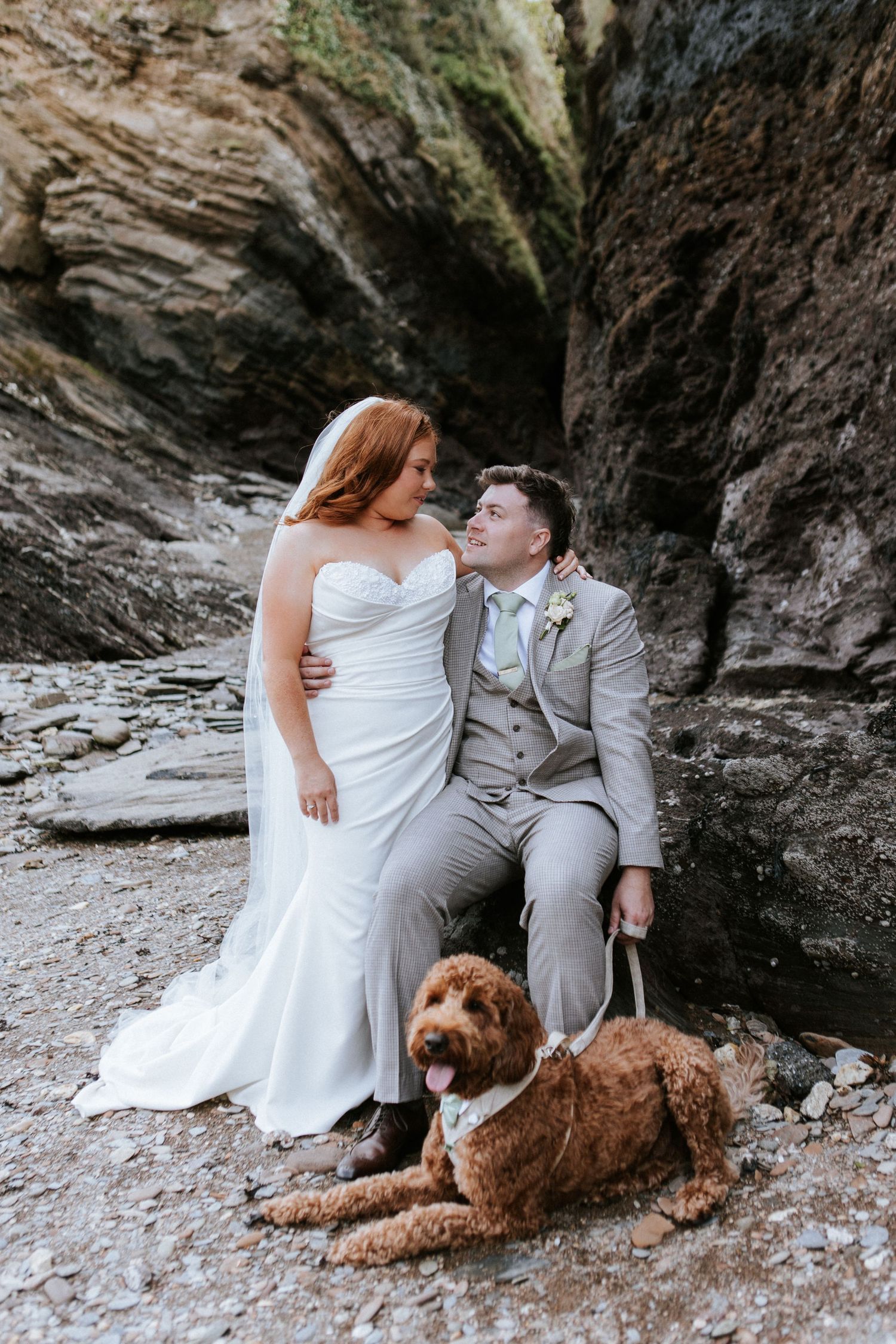 A couple in wedding attire sits on rocky ground with their brown goldendoodle dog in a scenic outdoor setting.