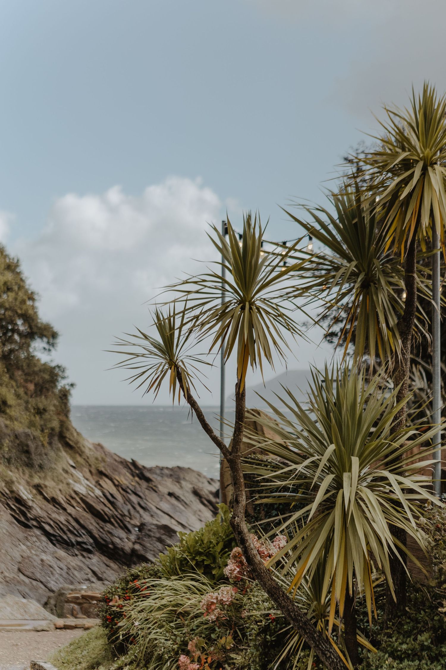 Palm trees grow along a rocky coastal cliff with cloudy skies and ocean views in the background.