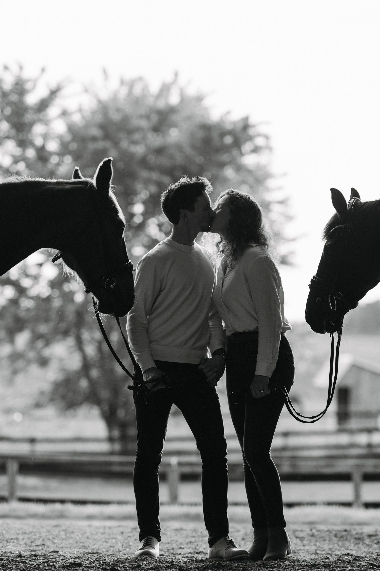 Couple with horses for engagement shoot in Kitchener Ontario