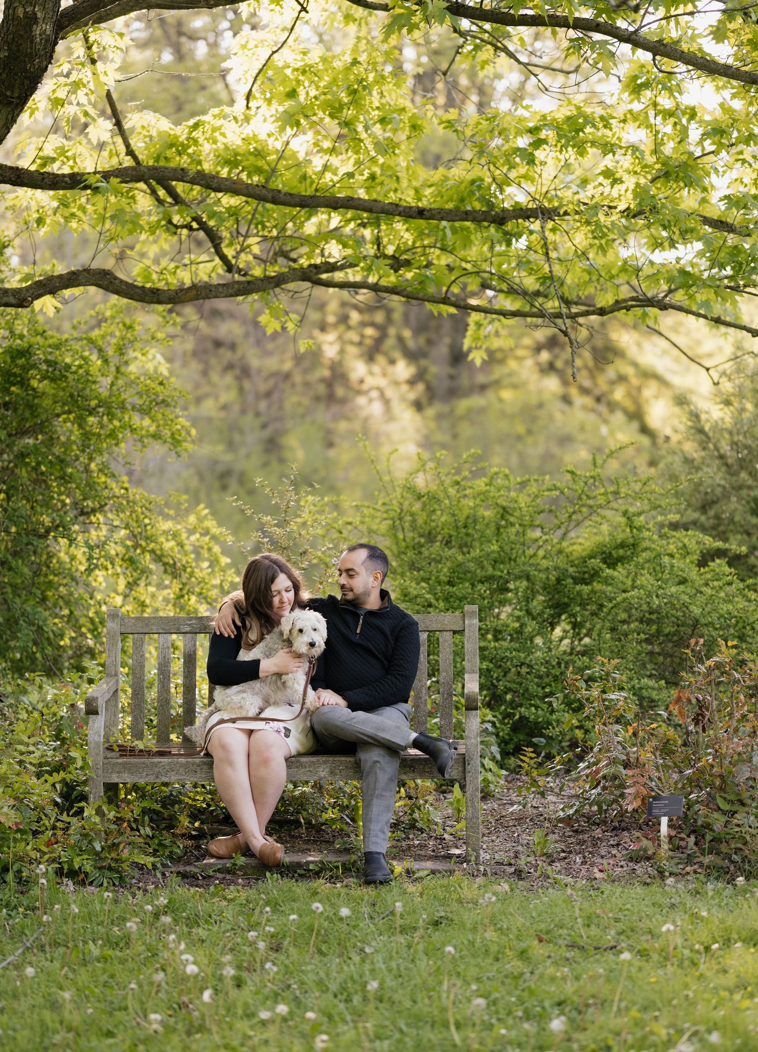 Couple sitting on bench for engagement shoot at Guelph Arboretum in Guelph Ontario