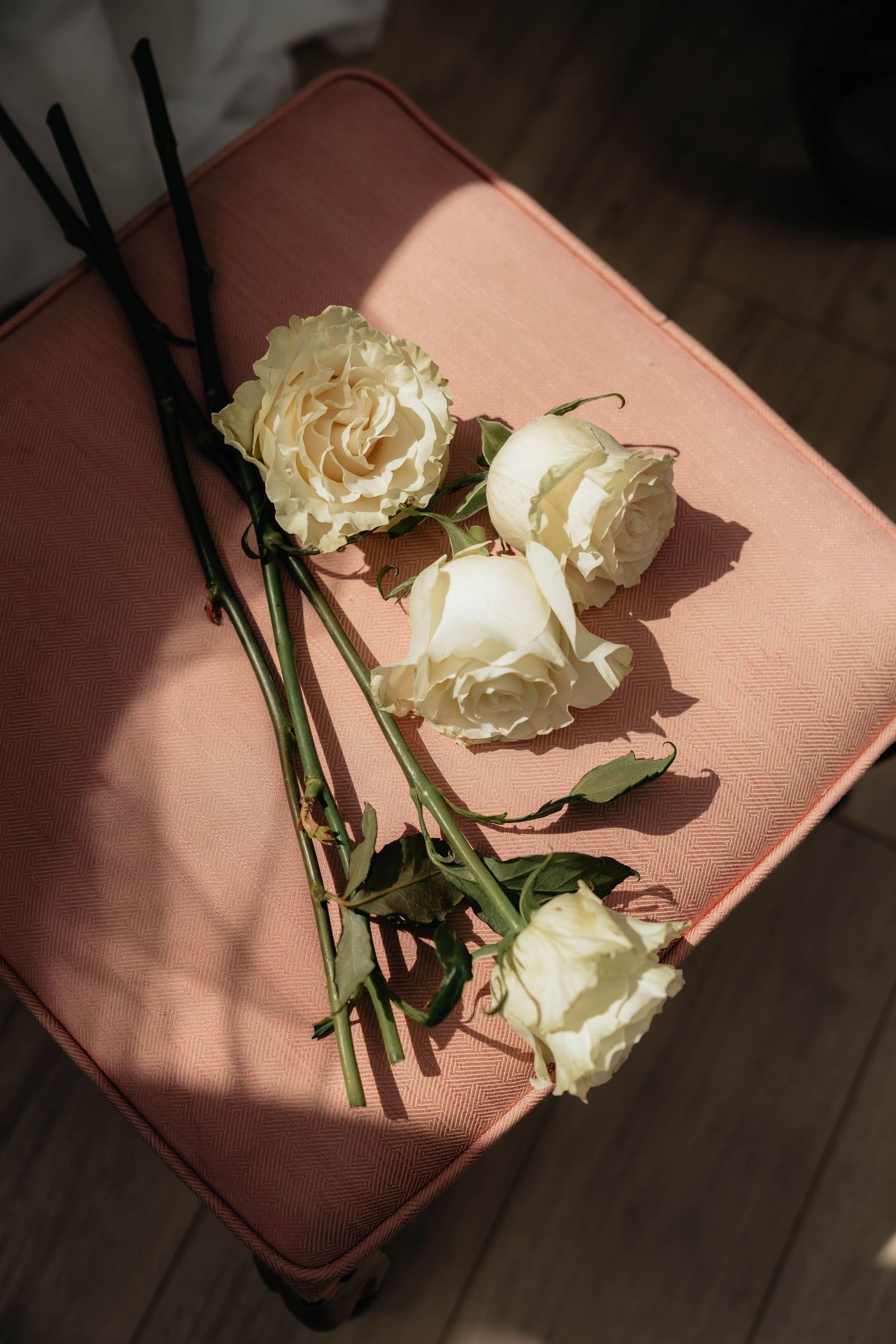 White roses lying on a pink leather surface cast dramatic shadows in natural lighting.