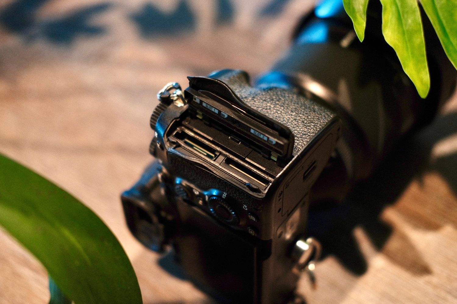 Closeup view of a black camera hotshoe mount with green leaves in the background.