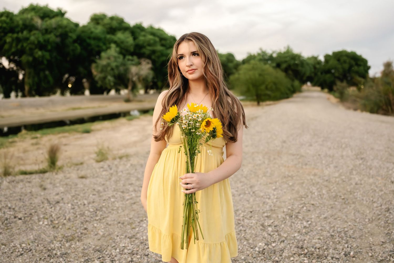 A sunny outdoor portrait featuring a yellow sundress against a natural landscape.