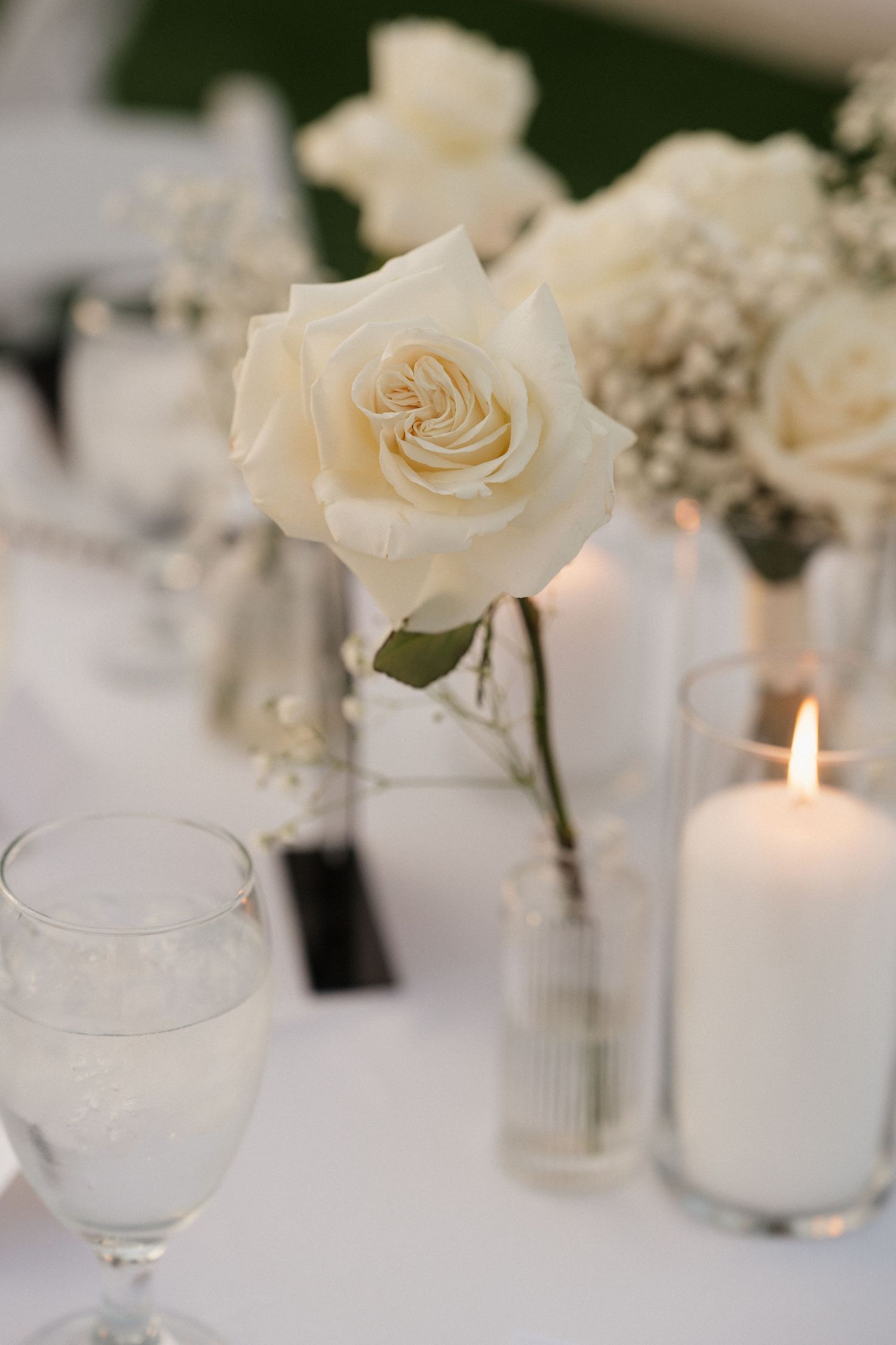 Elegant white roses and glowing candles arranged on wedding reception tables.