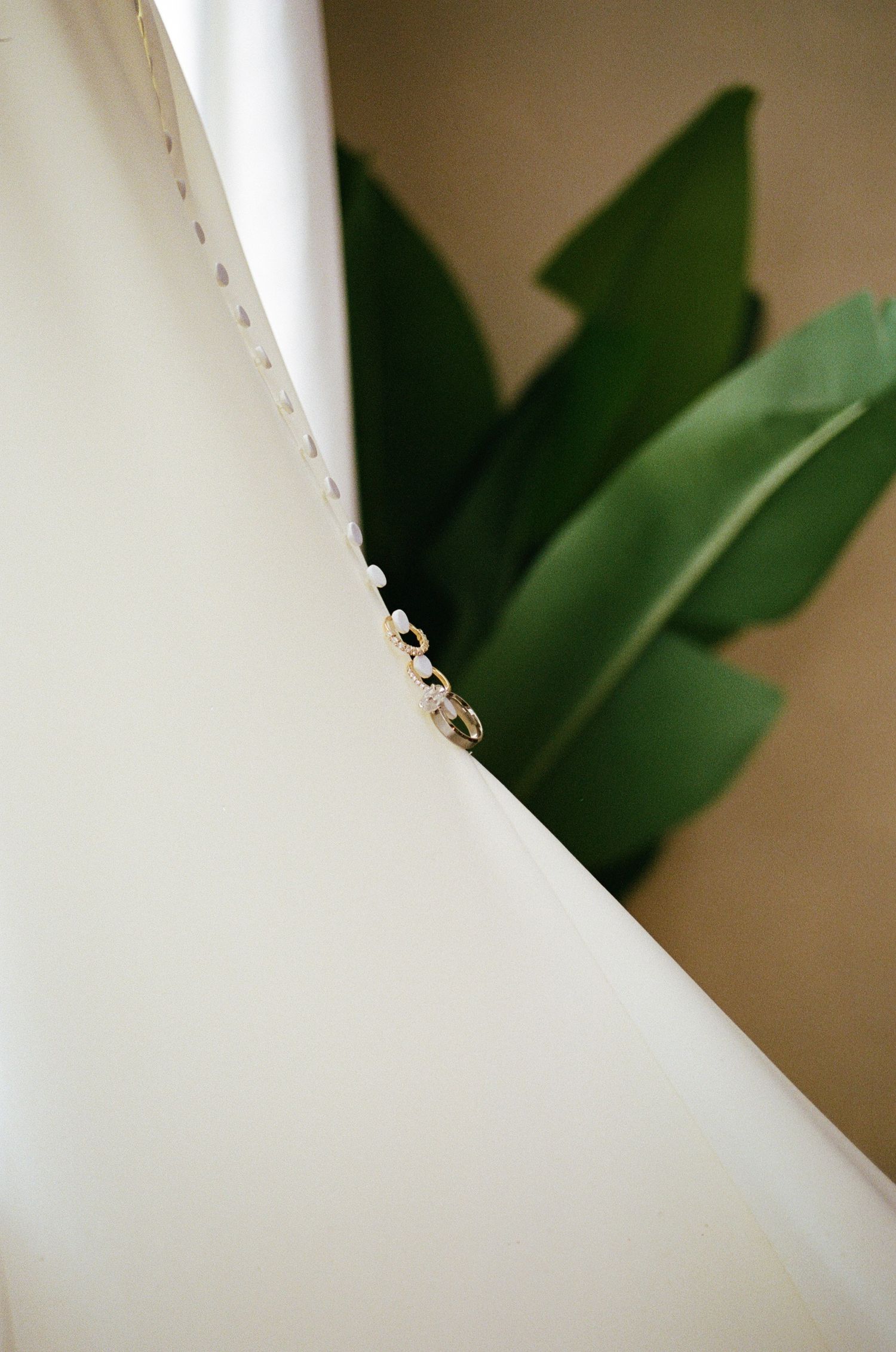 Close-up of a white wedding dress with delicate buttons and a green tropical leaf plant in the background.