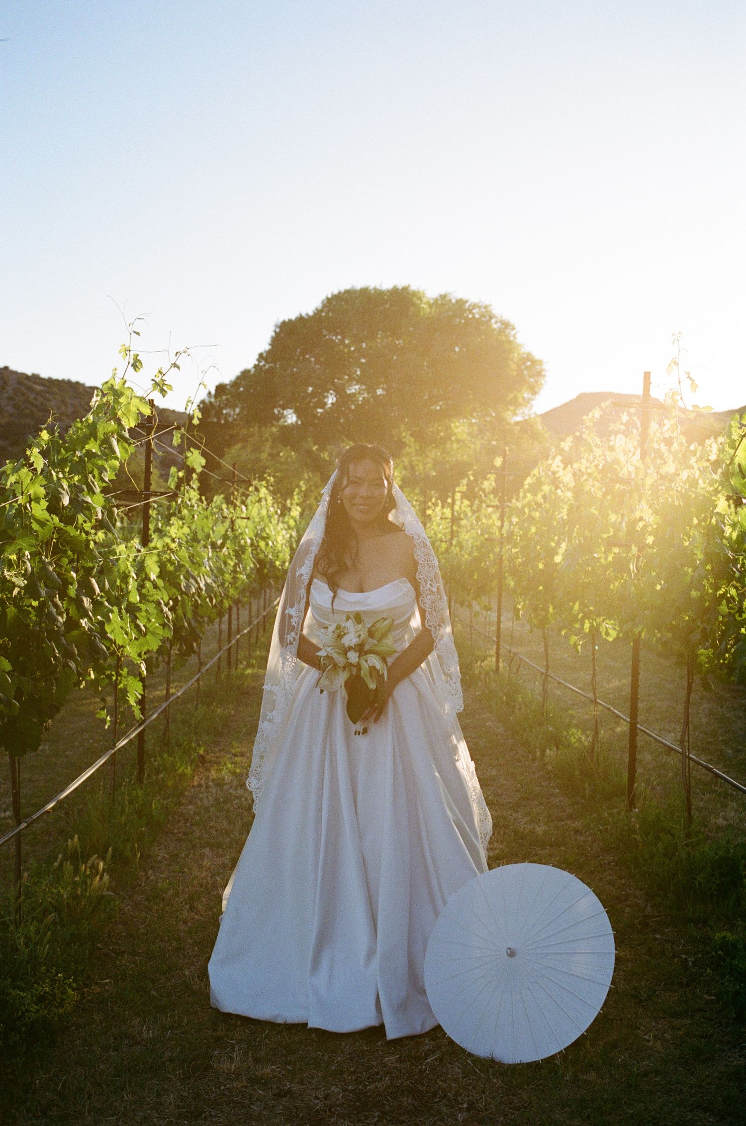 Bride in white gown and veil holding bouquet stands in sunny vineyard with parasol at golden hour.