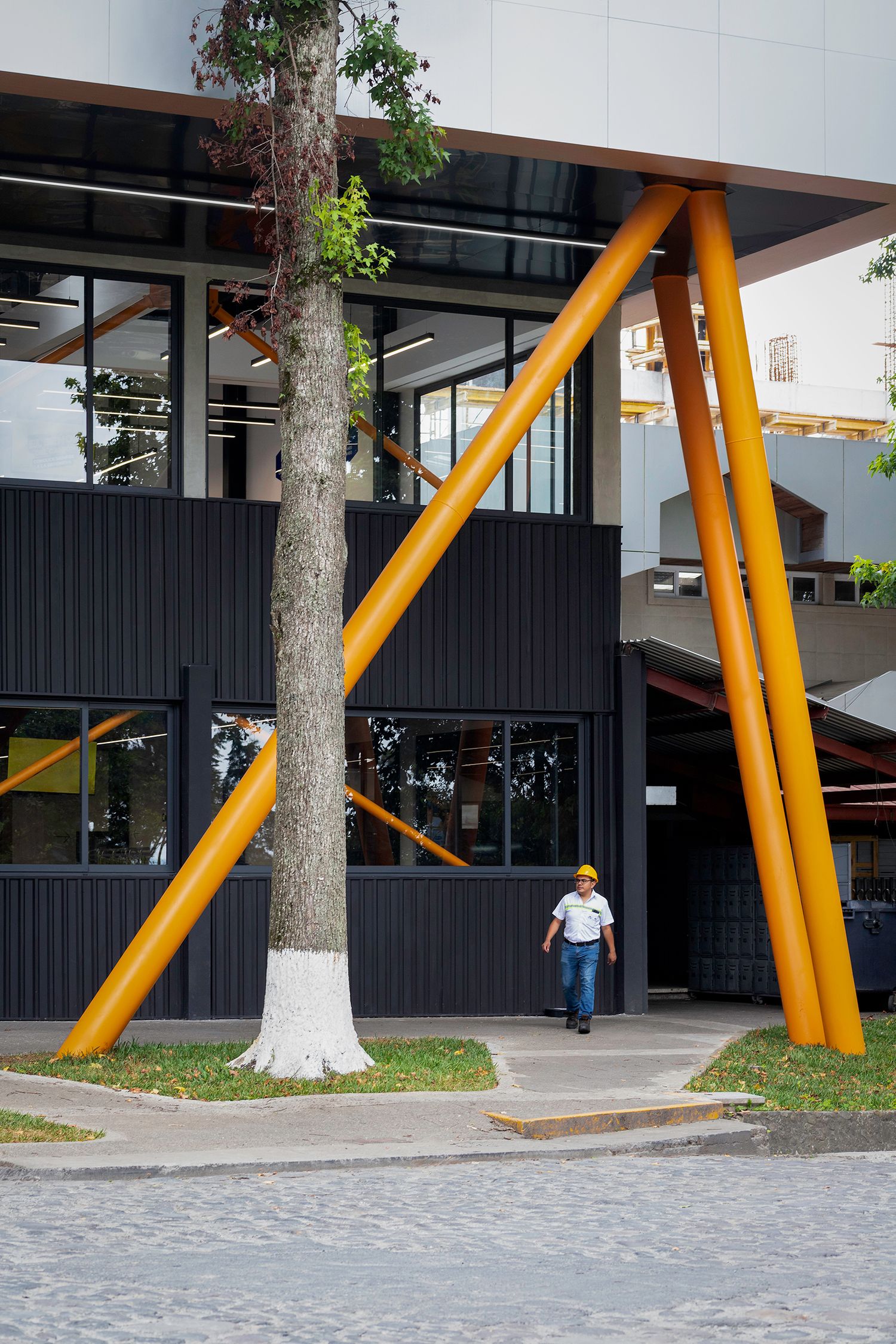 Fotografia de arquitectura en Guatemala. Arquitectura institucional. Fotografia comercial. Escala humana. Columnas. Ventanas. Arbol.