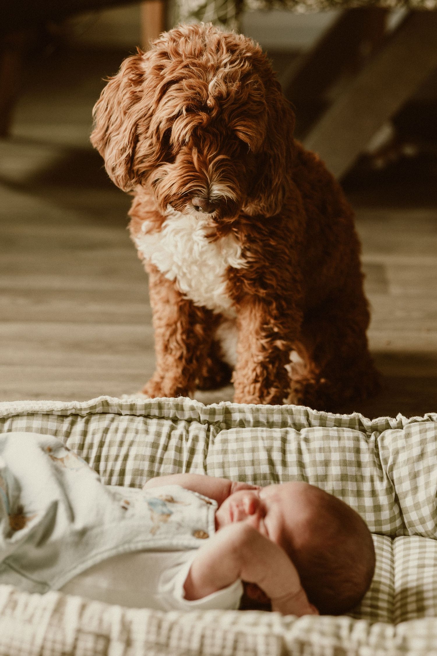 Oxfordshire newborn photographer