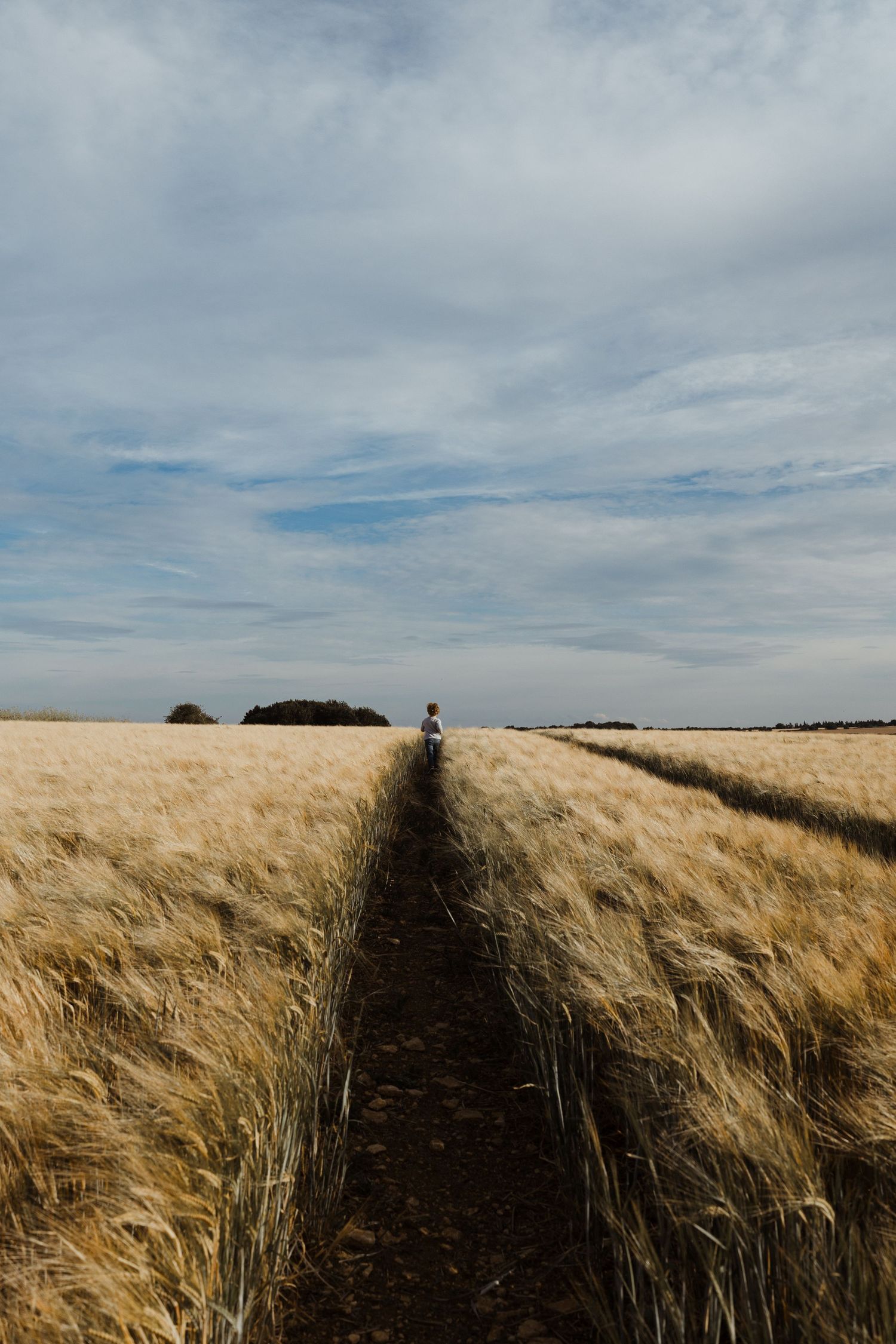Oxfordshire family photographer