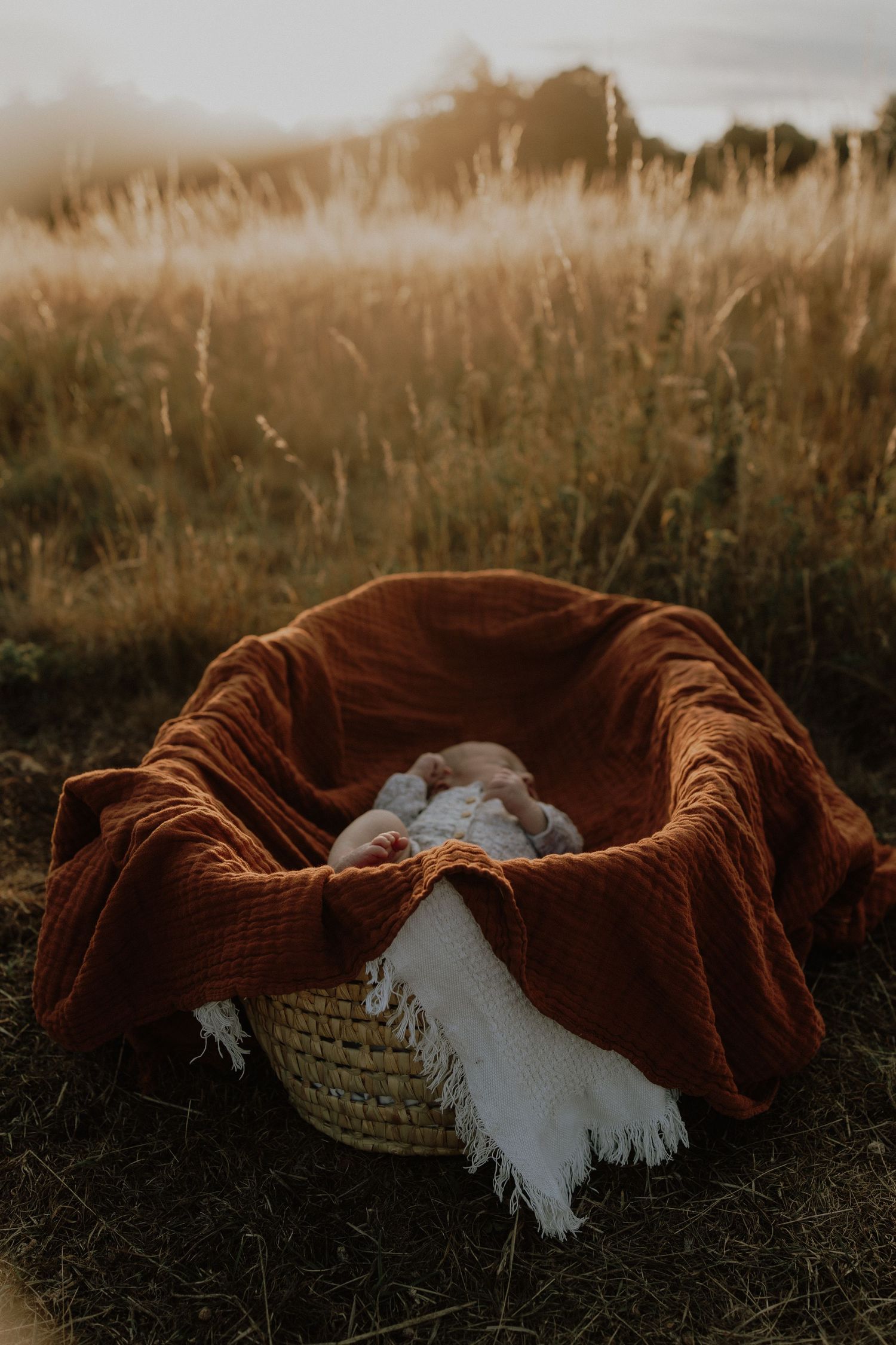 Oxfordshire newborn photographer