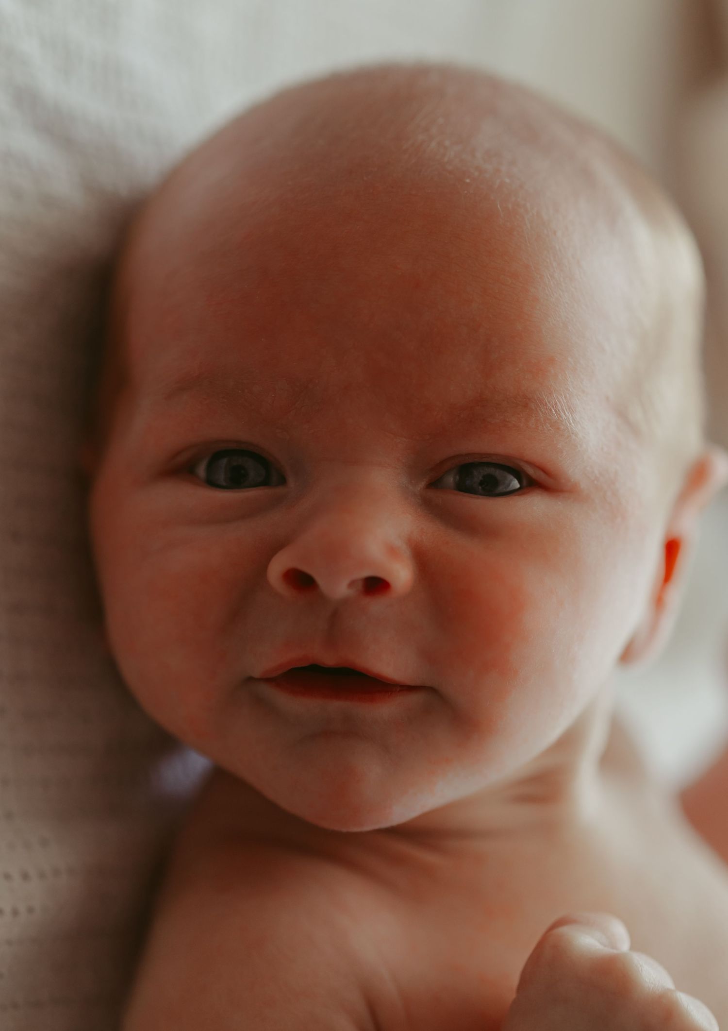 Oxfordshire newborn photographer