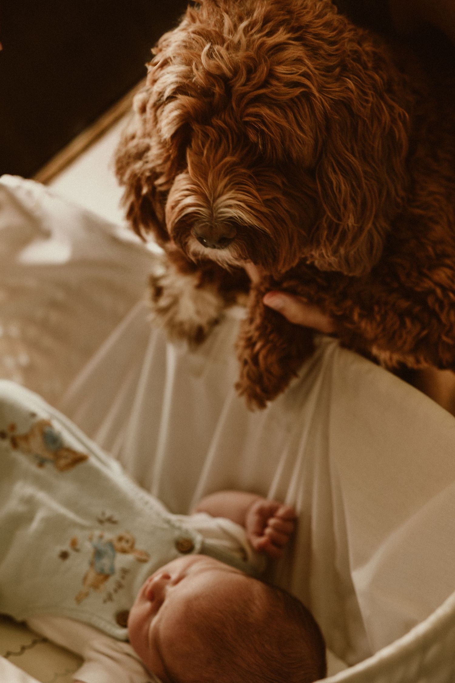 Oxfordshire newborn photographer