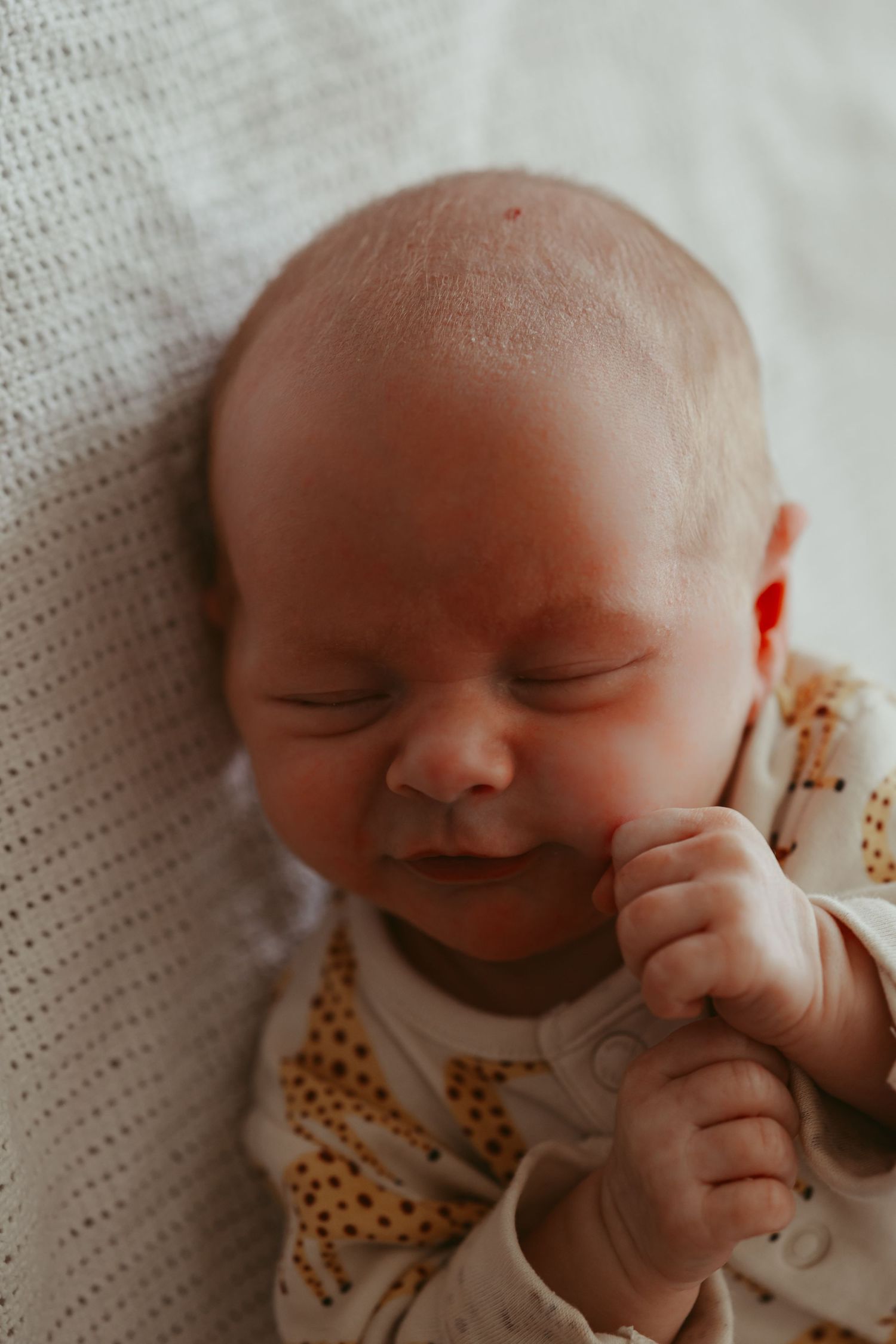Oxfordshire newborn photographer