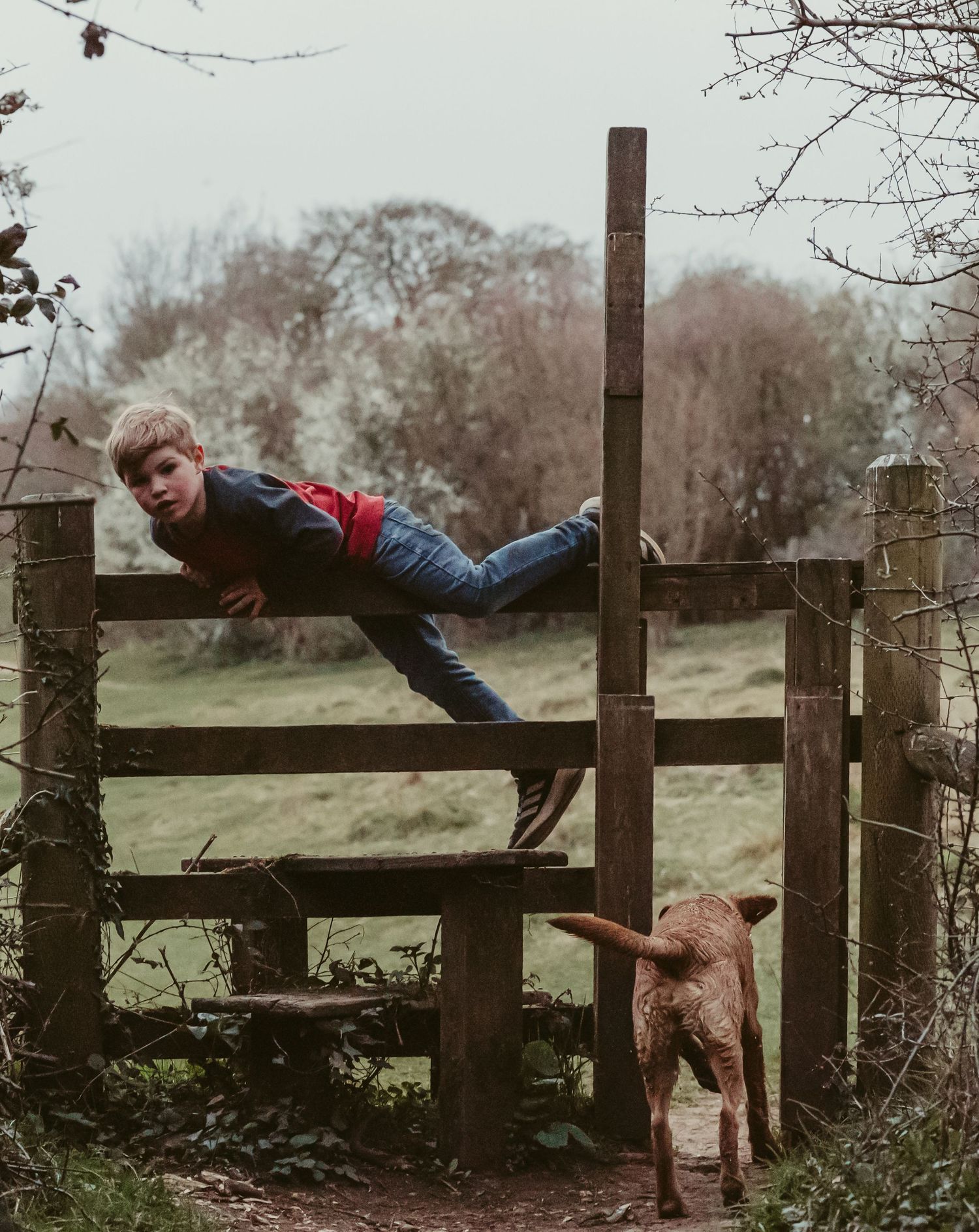 Oxfordshire family photographer
