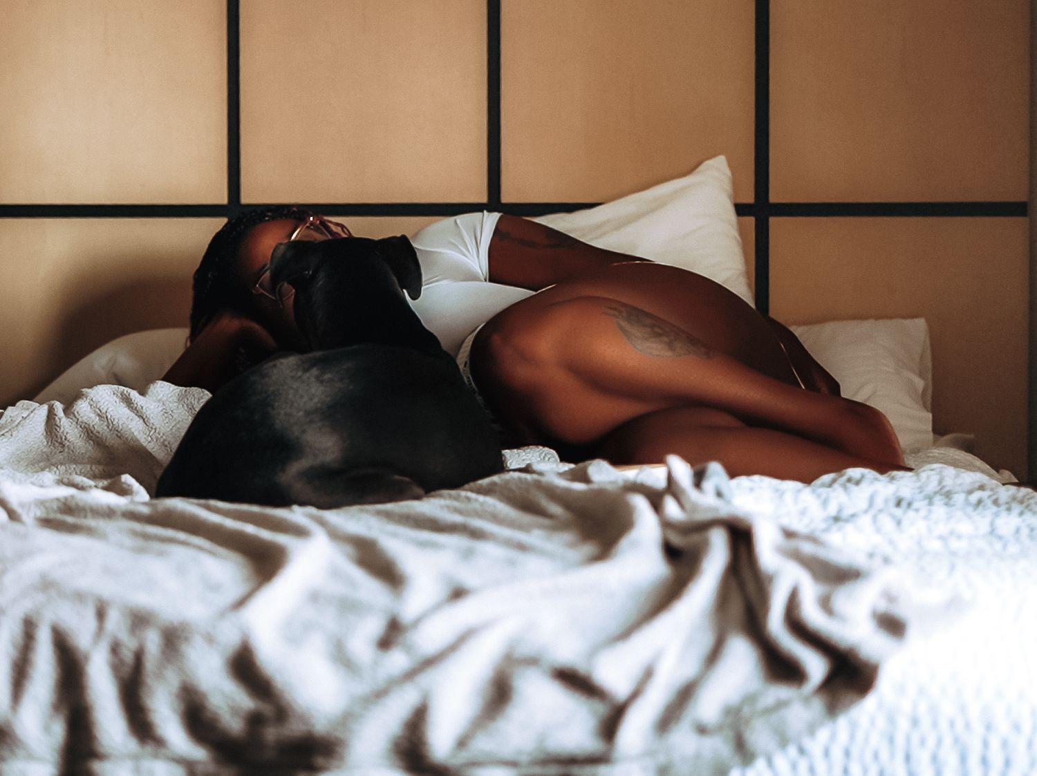 A dachshund dog rests peacefully on white bedding next to someone beneath a textured beige wall.