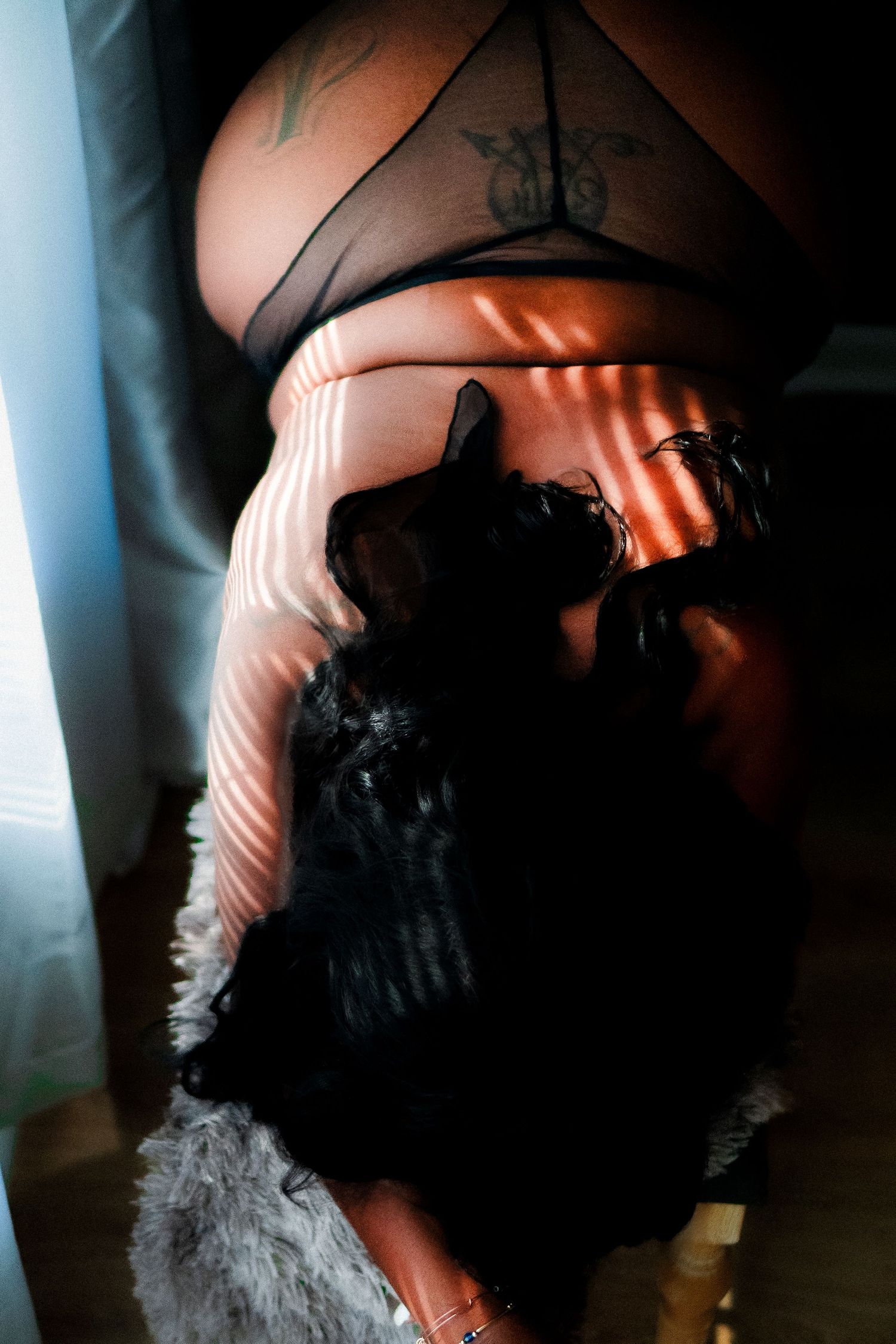 Black cat lounges in a patch of sunlight streaming through window blinds, creating dramatic light and shadow patterns.