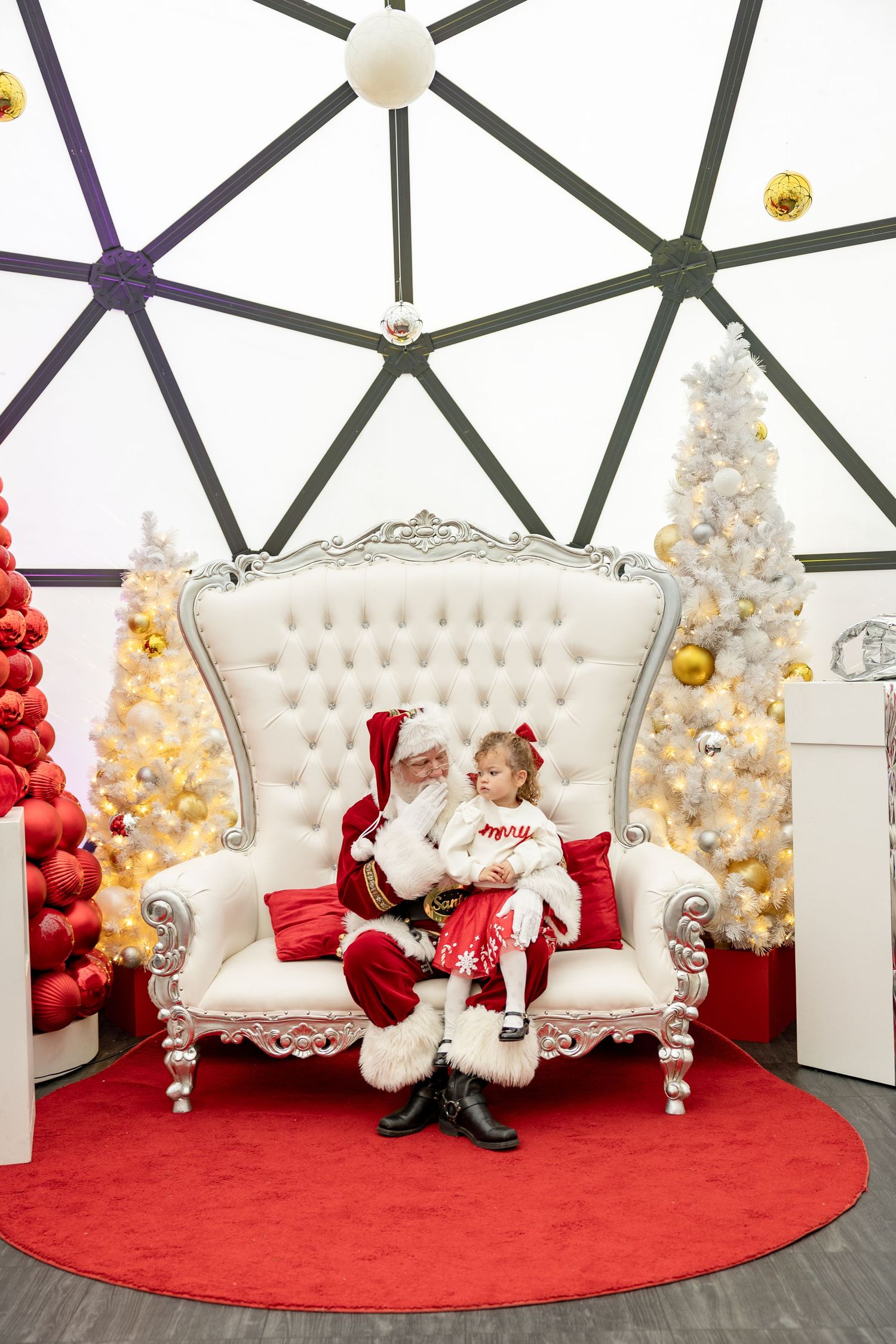 Fenton, NC Photos with Santa 2026 mini sessions