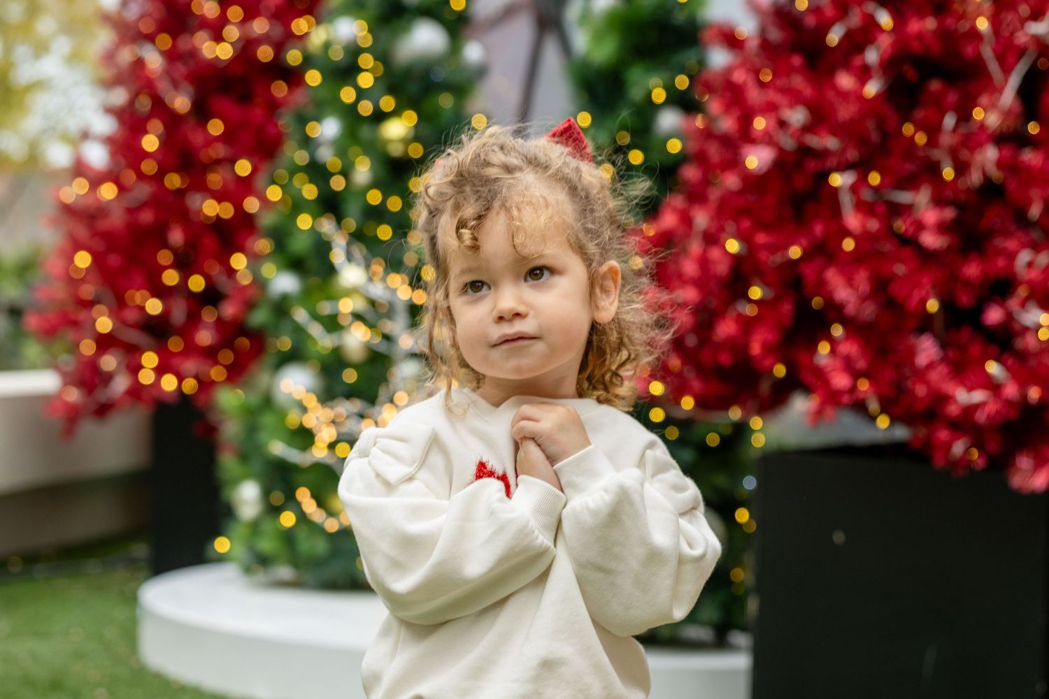 Fenton, NC Photos with Santa 2026 mini sessions in Cary, NC for holiday Christmas photos- holiday card portrait of a young girl