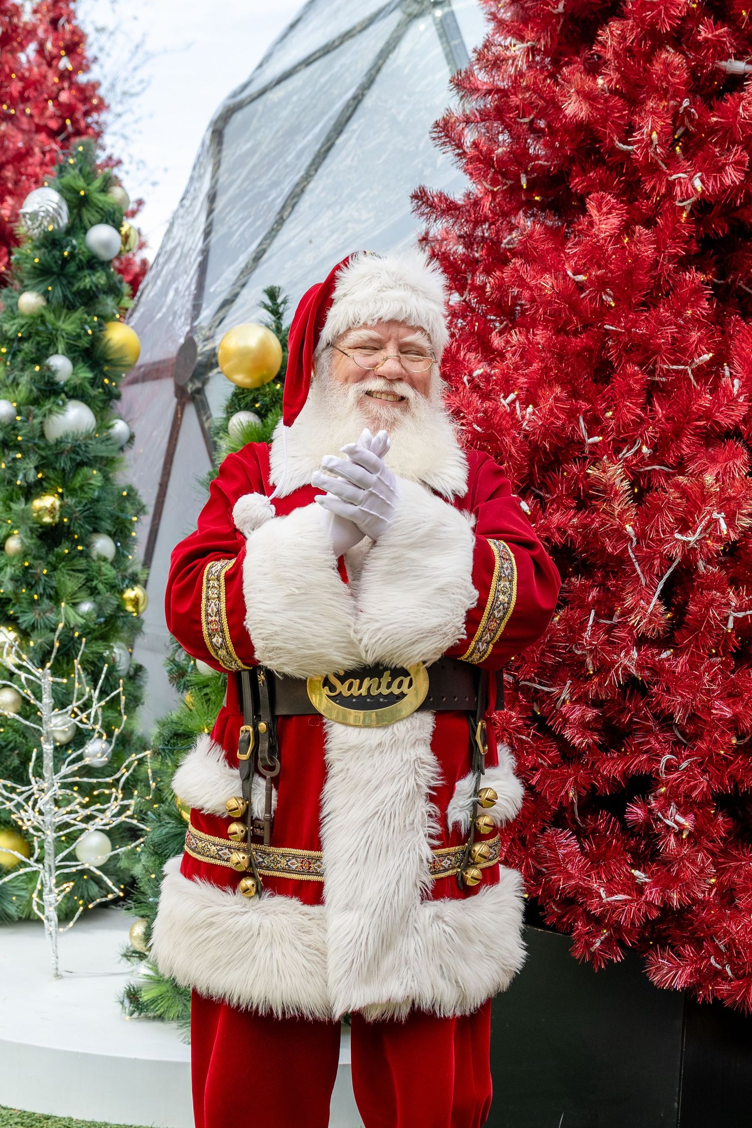 Santa, Raleigh NC area Christmas photos