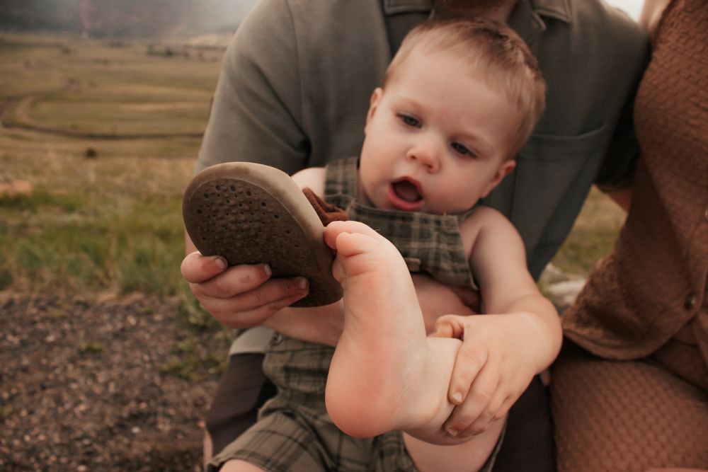 A series of connected images showing a child and adult interacting with a small animal outdoors in natural lighting.