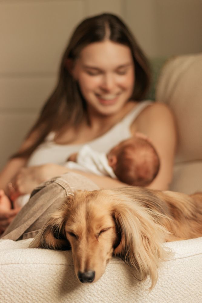 A long-haired dog rests peacefully on a bed next to someone holding a baby in a warm, intimate home setting.