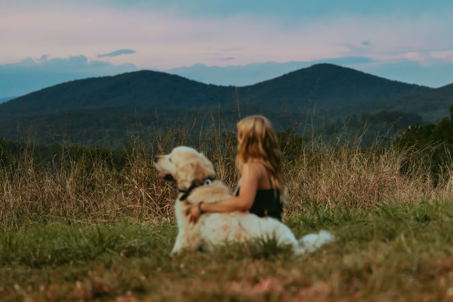 Young girl sits beside a large white fluffy dog overlooking scenic mountain landscape at dusk.