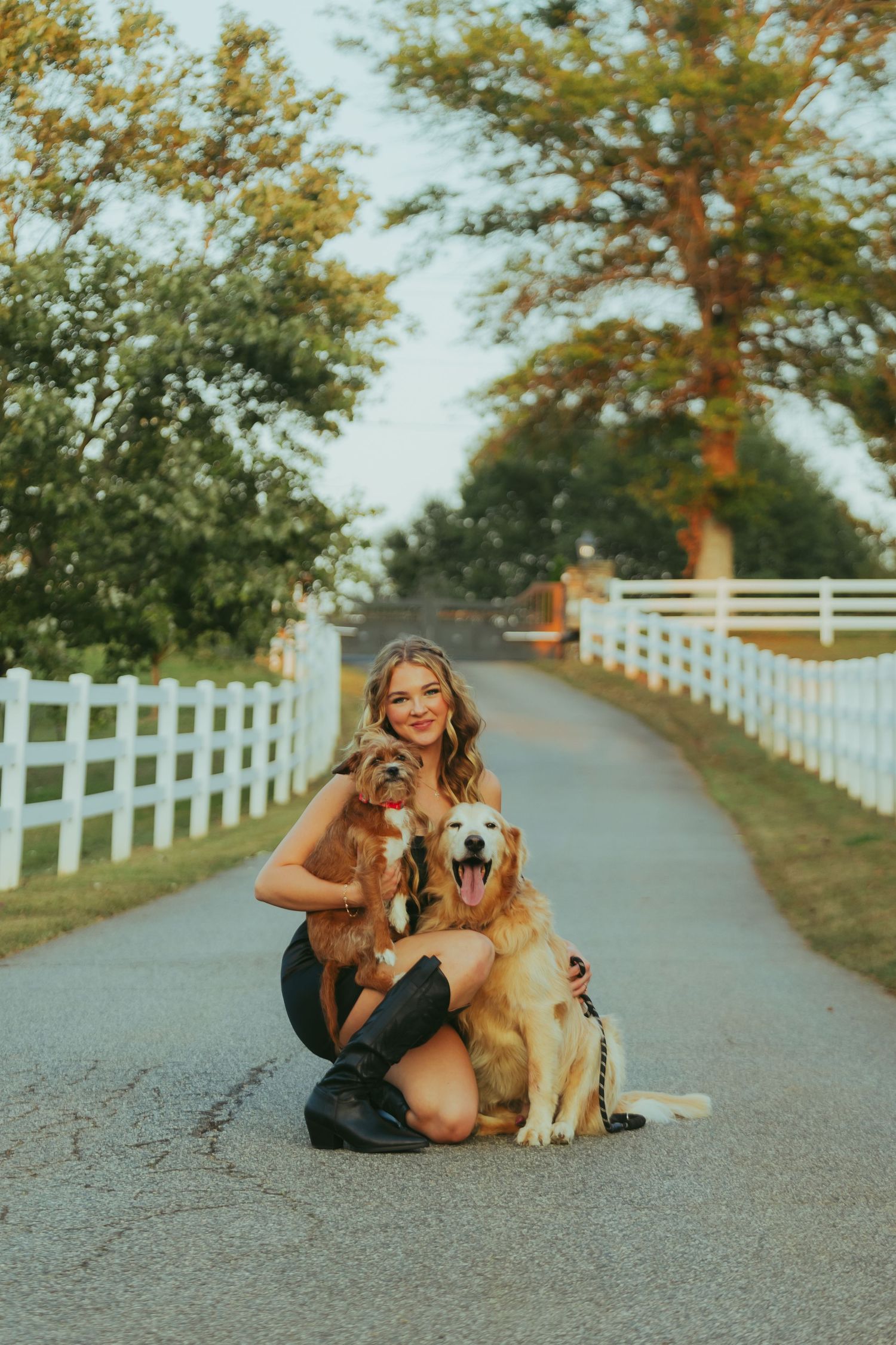 Smiling young woman sits on a country road with two golden dogs near a white fence.