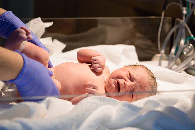 Photo of a newborn in clear crib at hospital. Birth Photography by Kelly Chapman Photographer Perth