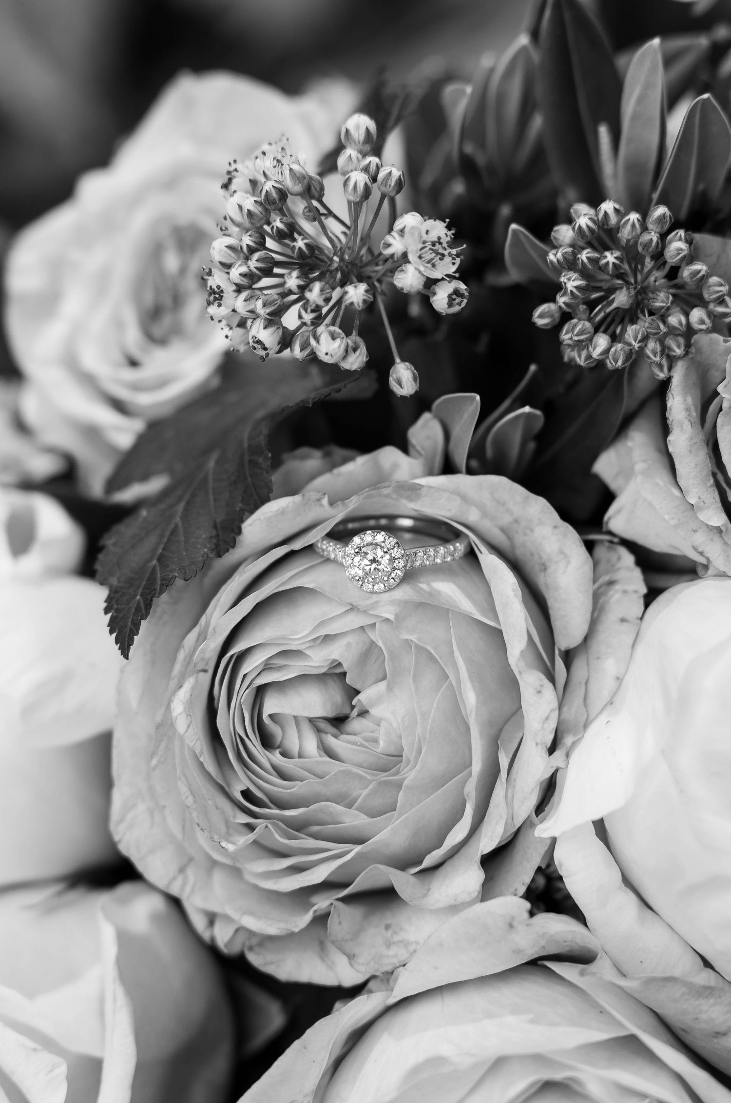 A black and white photograph of a wedding bouquet featuring roses and delicate floral details with an engagement ring nestled within.