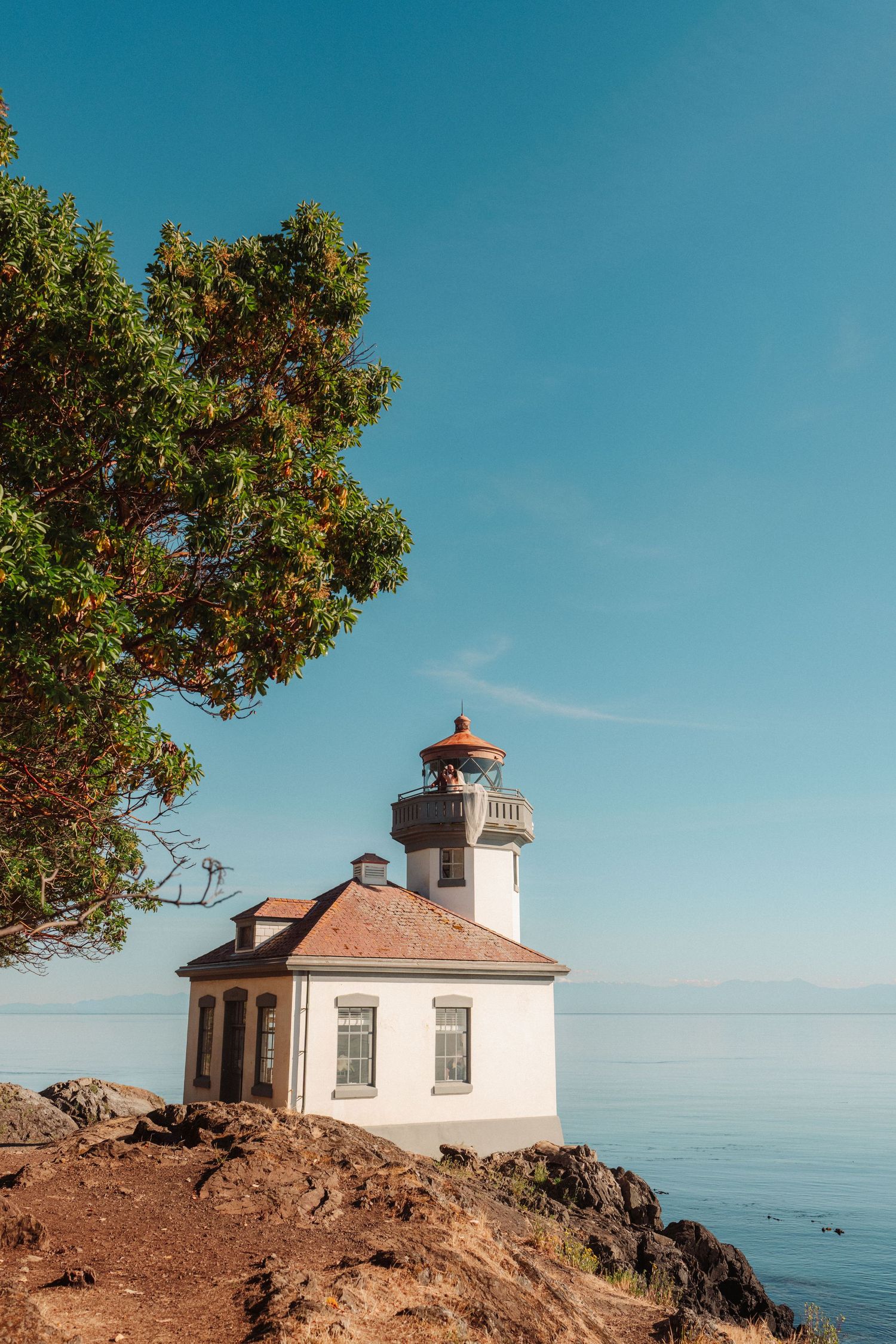 White lighthouse with a red roof on a rocky coastal shore beside an arbutus tree, overlooking calm blue water under a clear sky.