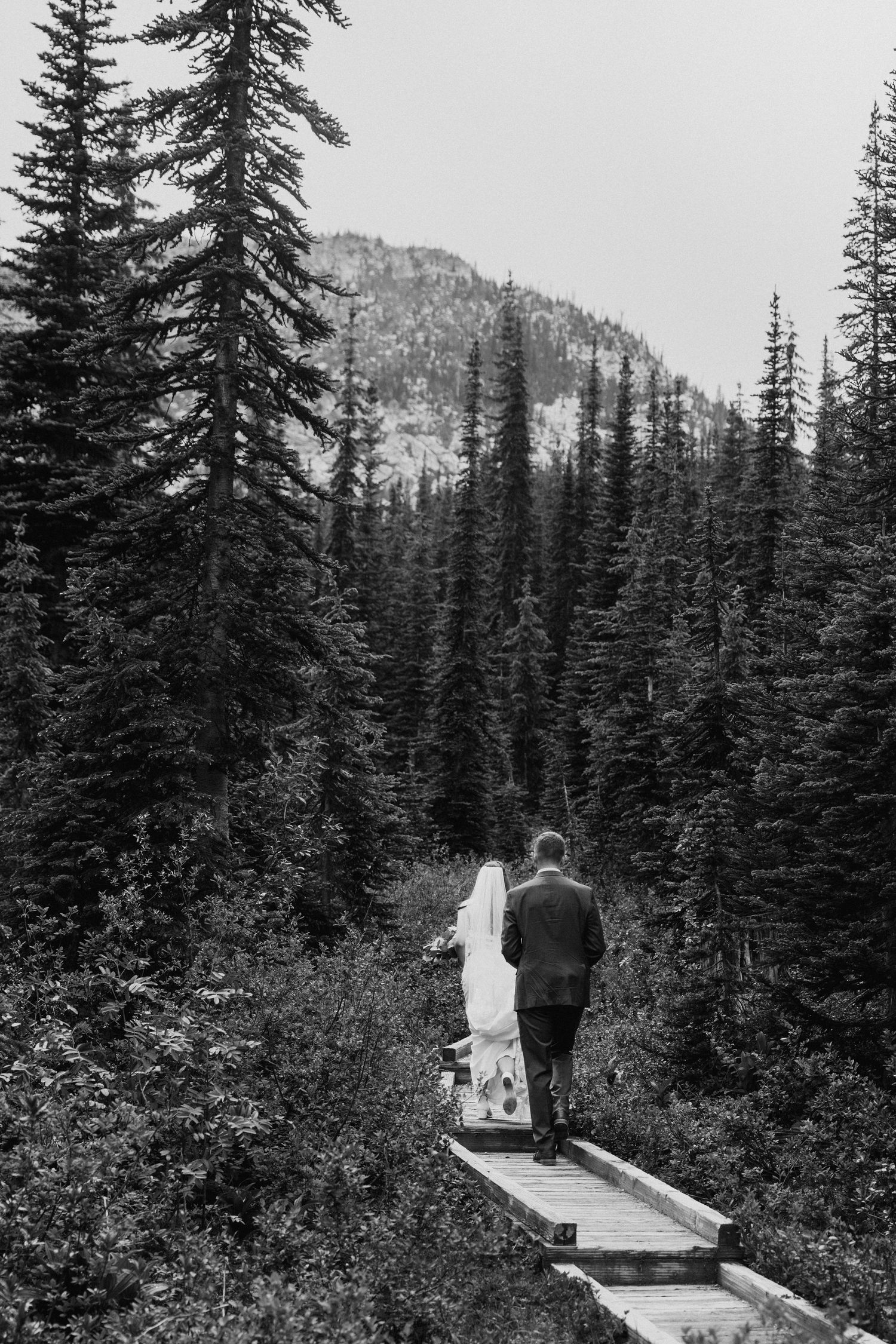 Two people walk along a wooden boardwalk trail through an evergreen forest in the mountains.