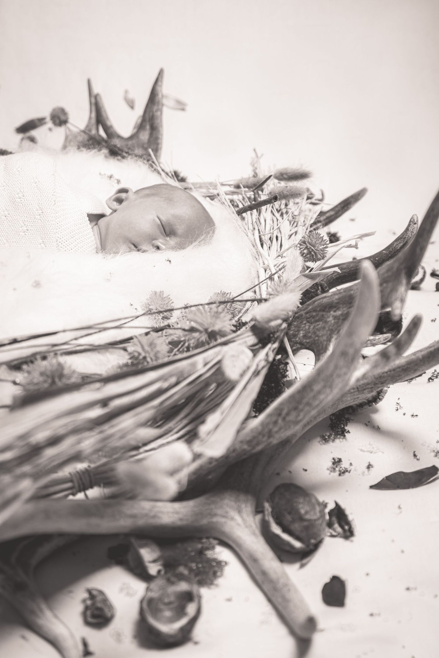 Black and white artistic newborn photo with baby sleeping surrounded by antlers and dried flowers.