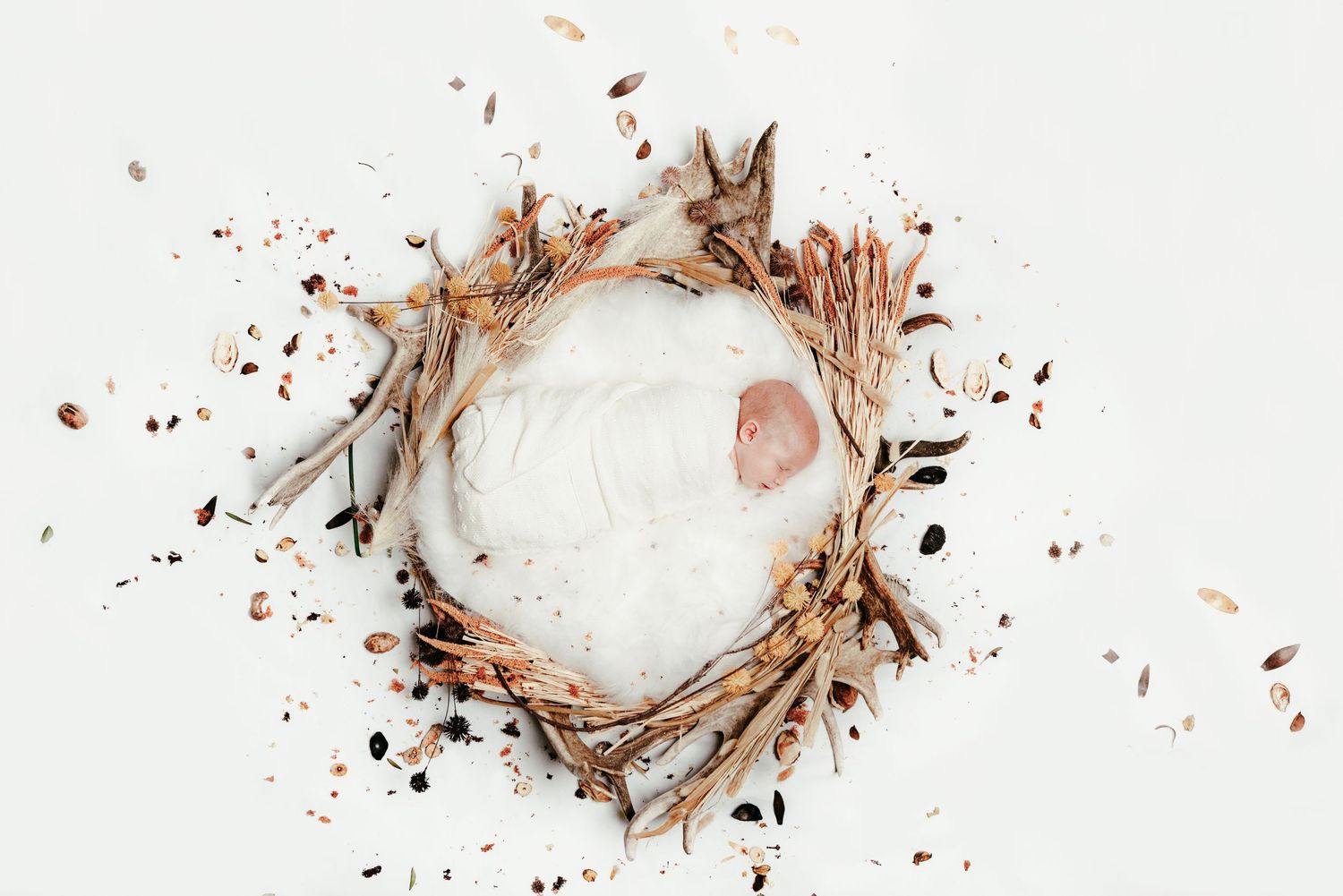 Overhead view of sleeping newborn baby nestled in rustic twig nest with dried botanicals.